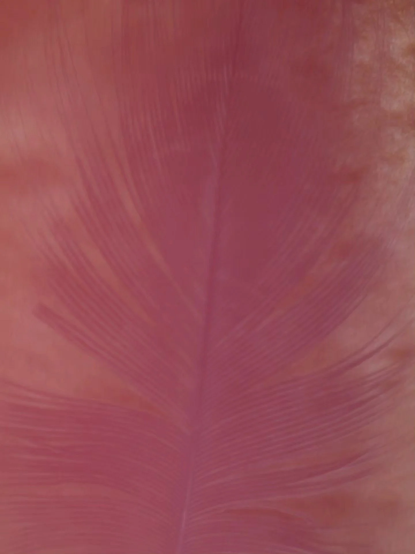 622571852_10166509062943906_4661435219608613261_n.jpg