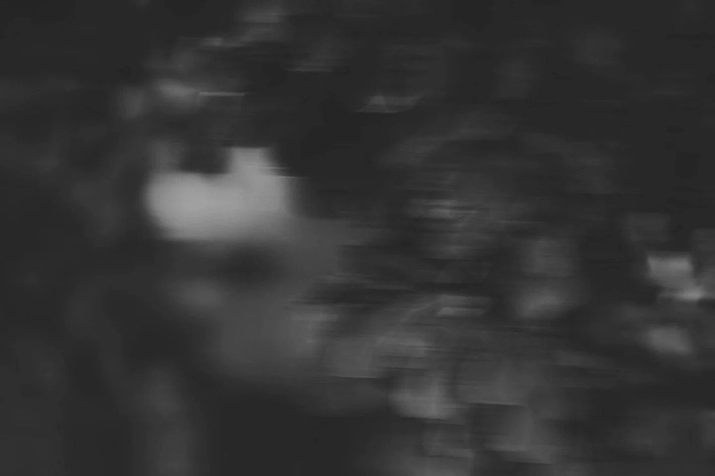 617988125_10166470174188906_8842094732178684000_n.jpg