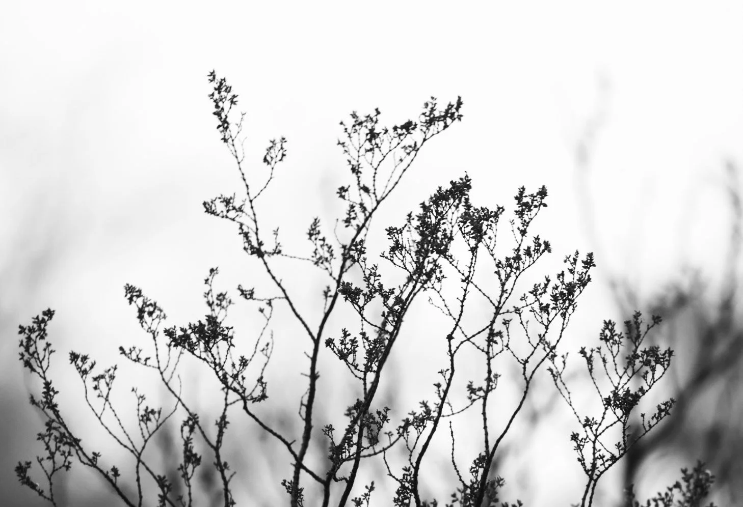 5-6H0A6473.jpg
