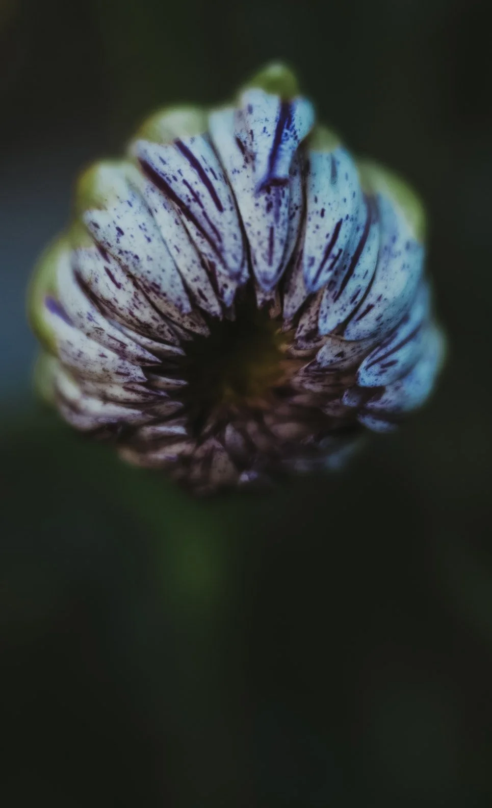 24-6H0A7942.jpg
