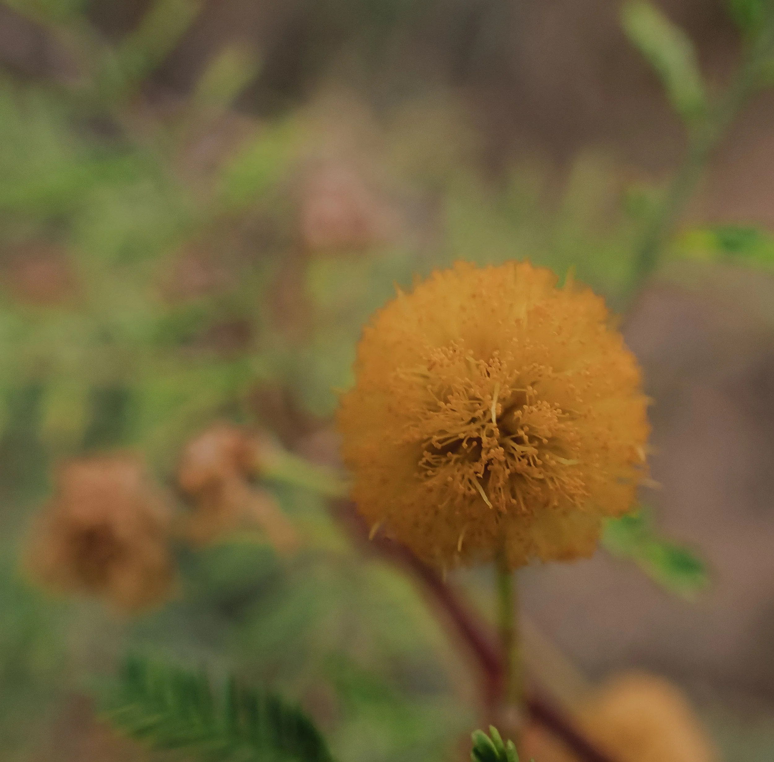 331-P9054965.jpg