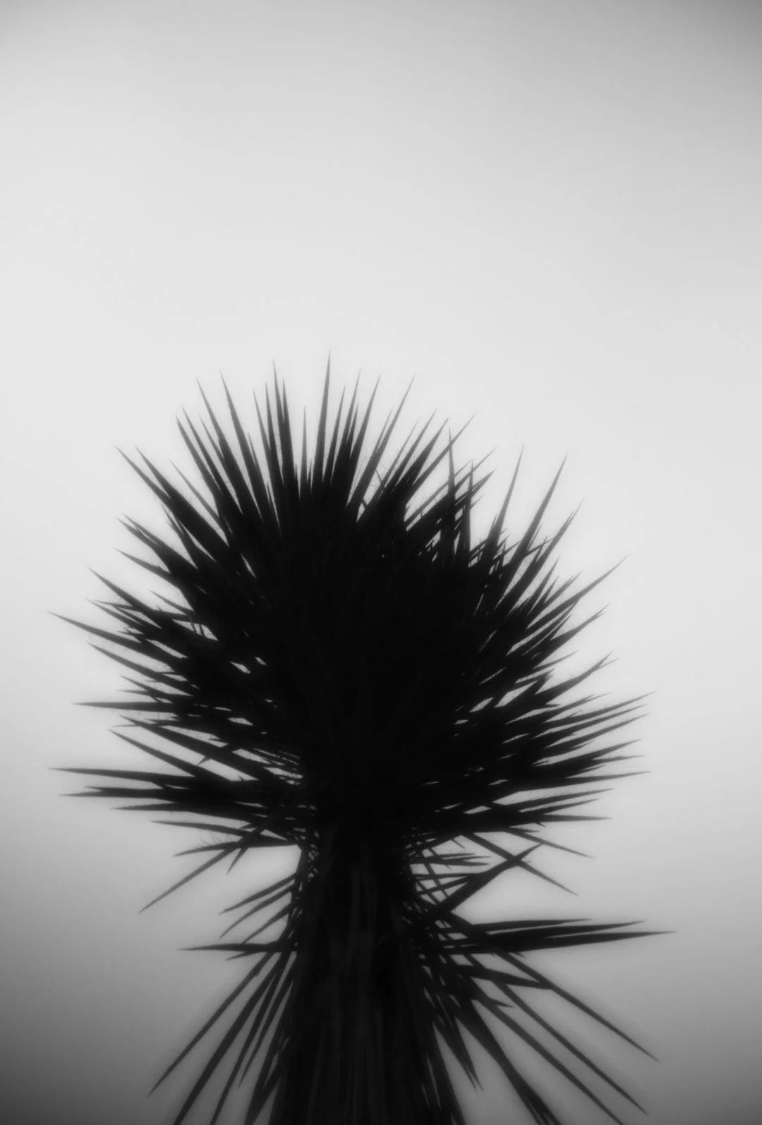 7-6H0A6417.jpg