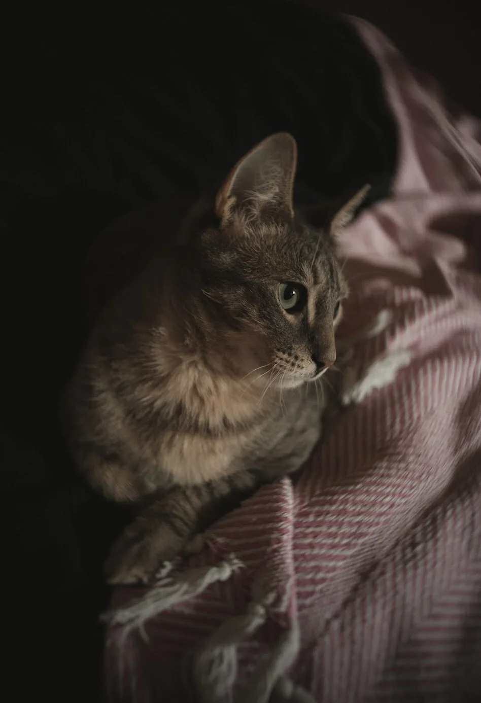 324-6H0A7642.jpg