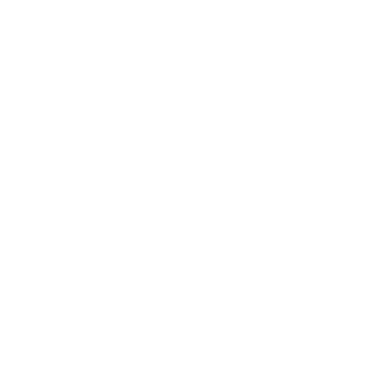 Carson CLT mission icon