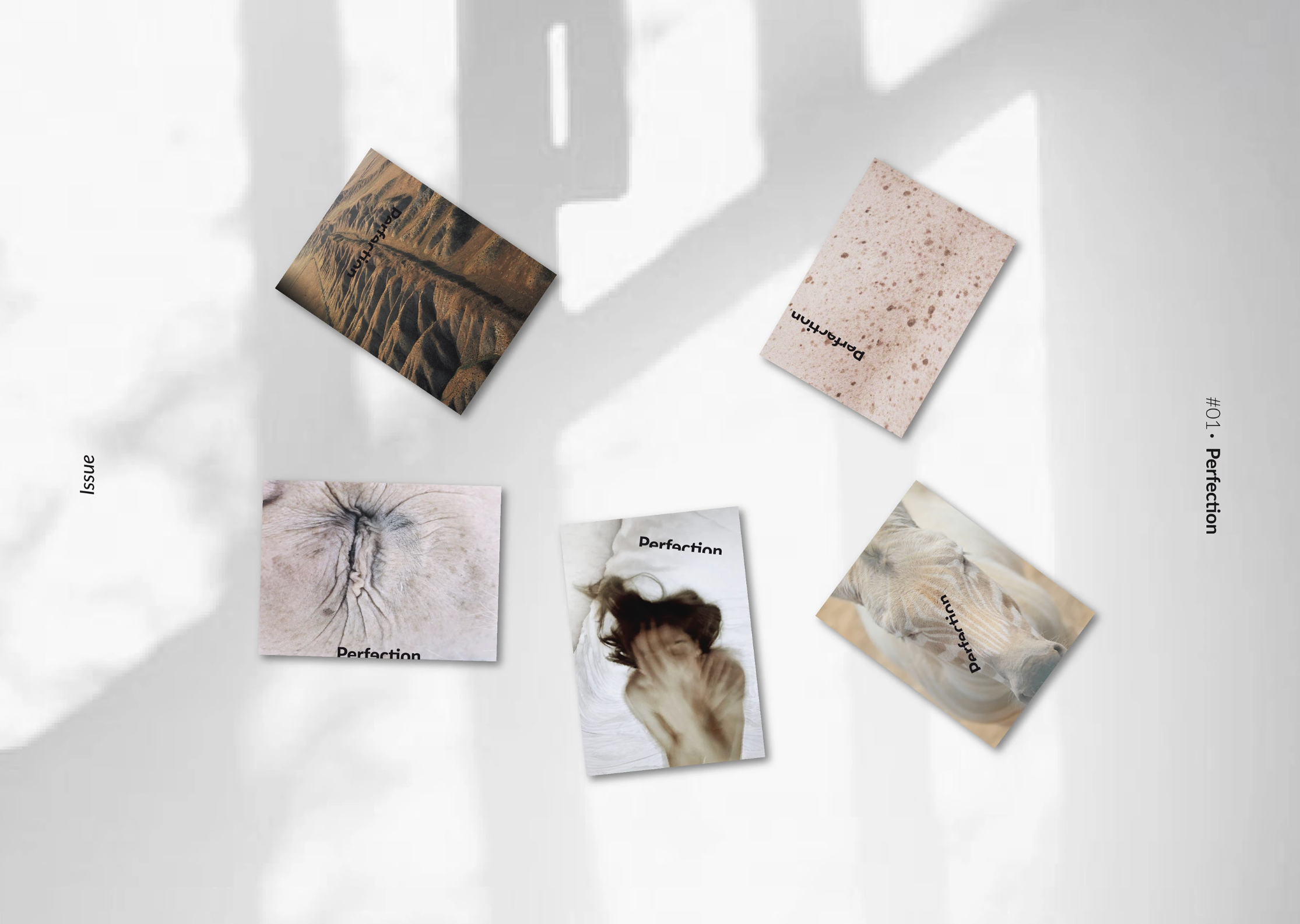 Carteles con imágenes de animales y textos como "Perfection" en una superficie blanca, con sombras y una esquina que muestra partes de otros carteles.