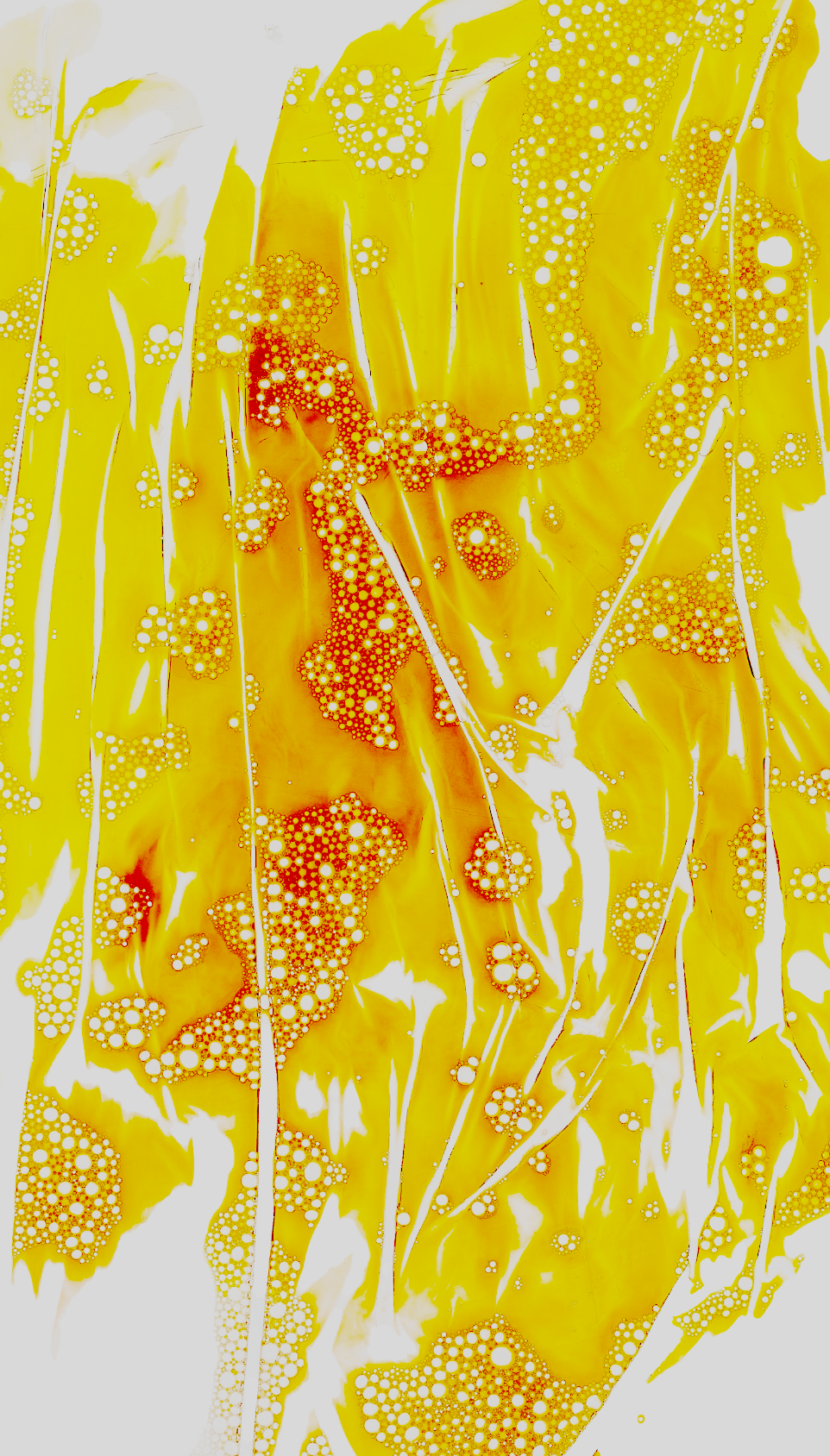 Arte abstracto con tonos amarillos y detalles en rojo y blanco, con patrones de círculos y líneas fluidas.