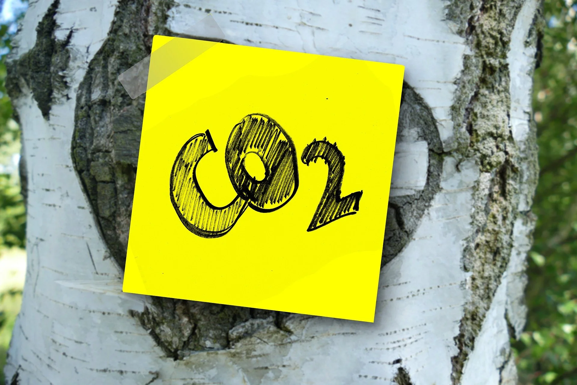CO₂-Steuer aber kein Klimabonus