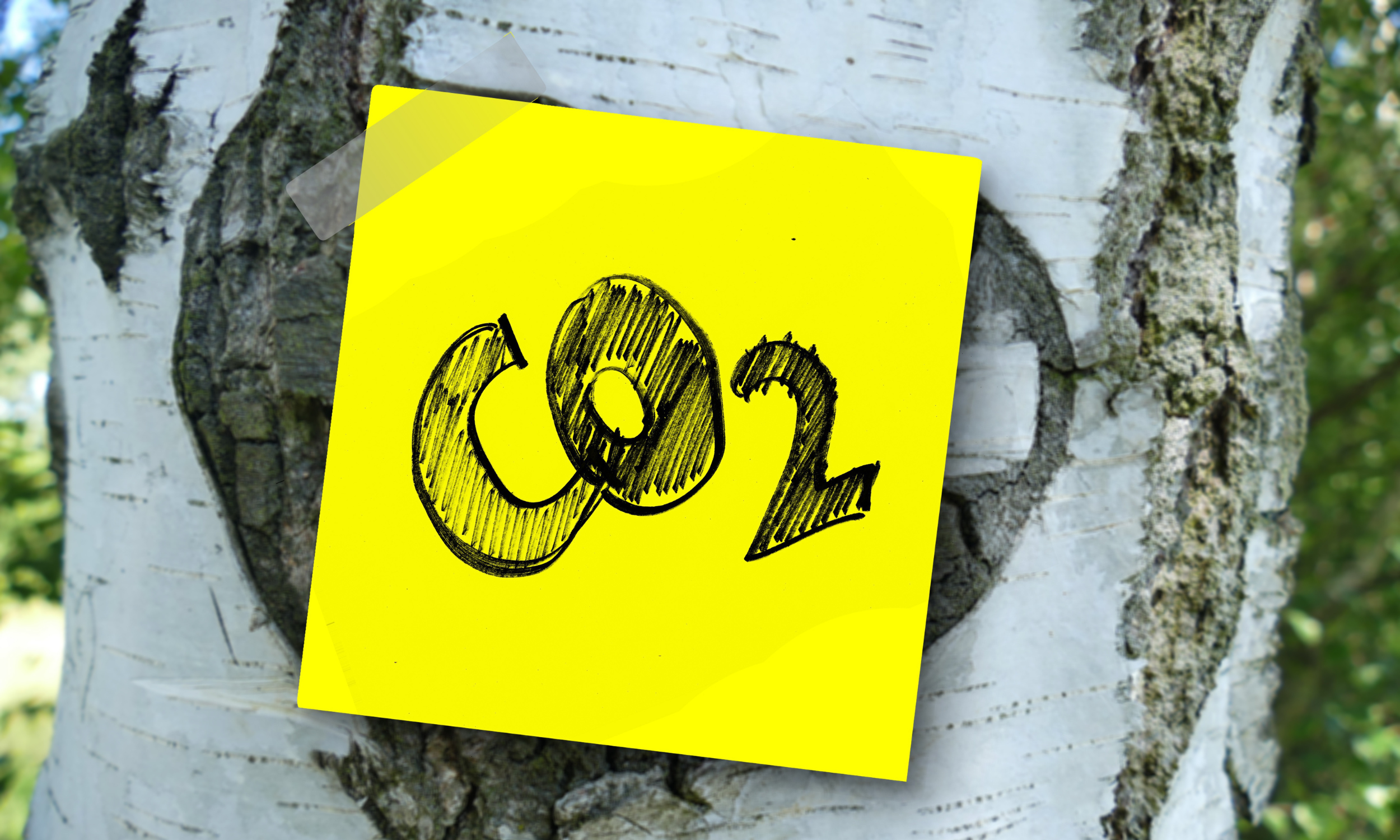 CO₂-Steuer aber kein Klimabonus