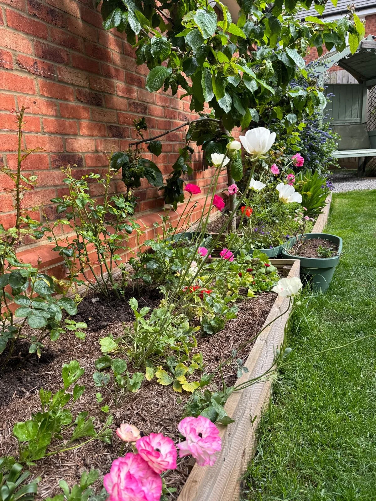 A garden bed filled with colorful flowers and plants, next to a brick wall, with a green bench and potted plants in the background.