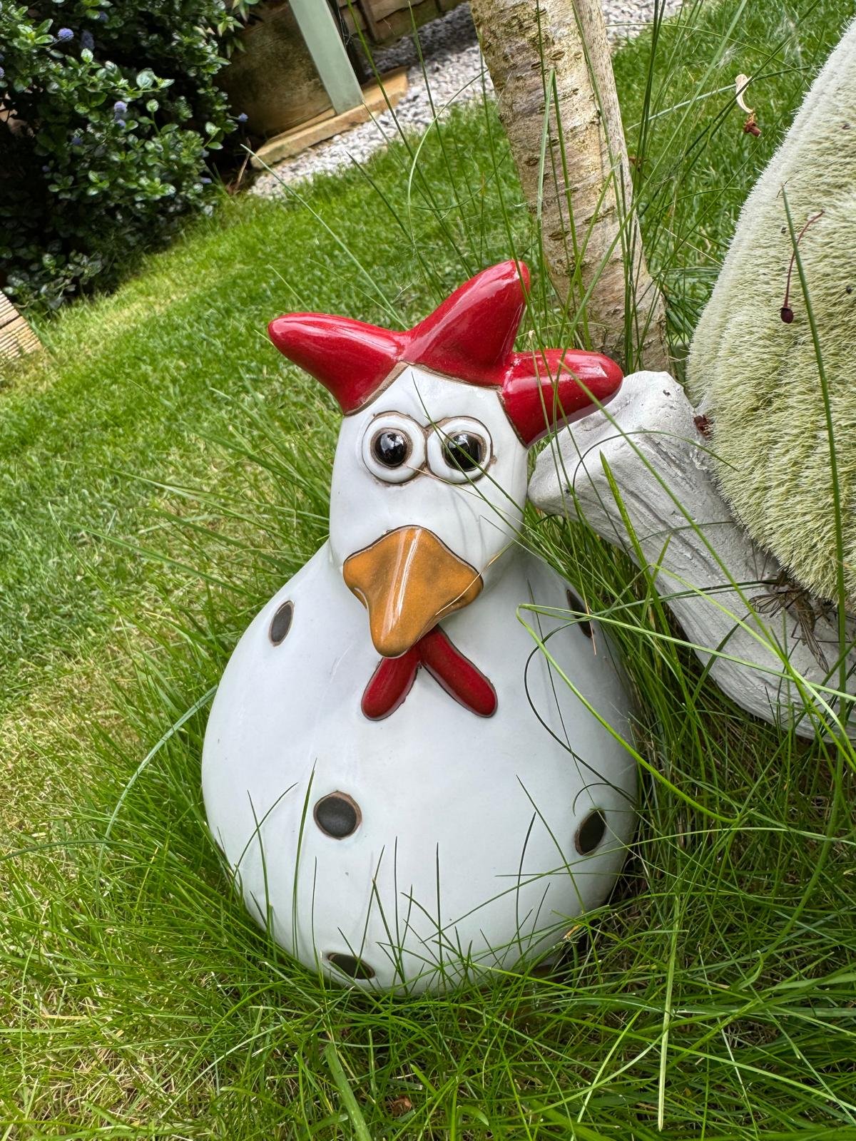 Our Wonky Chicken