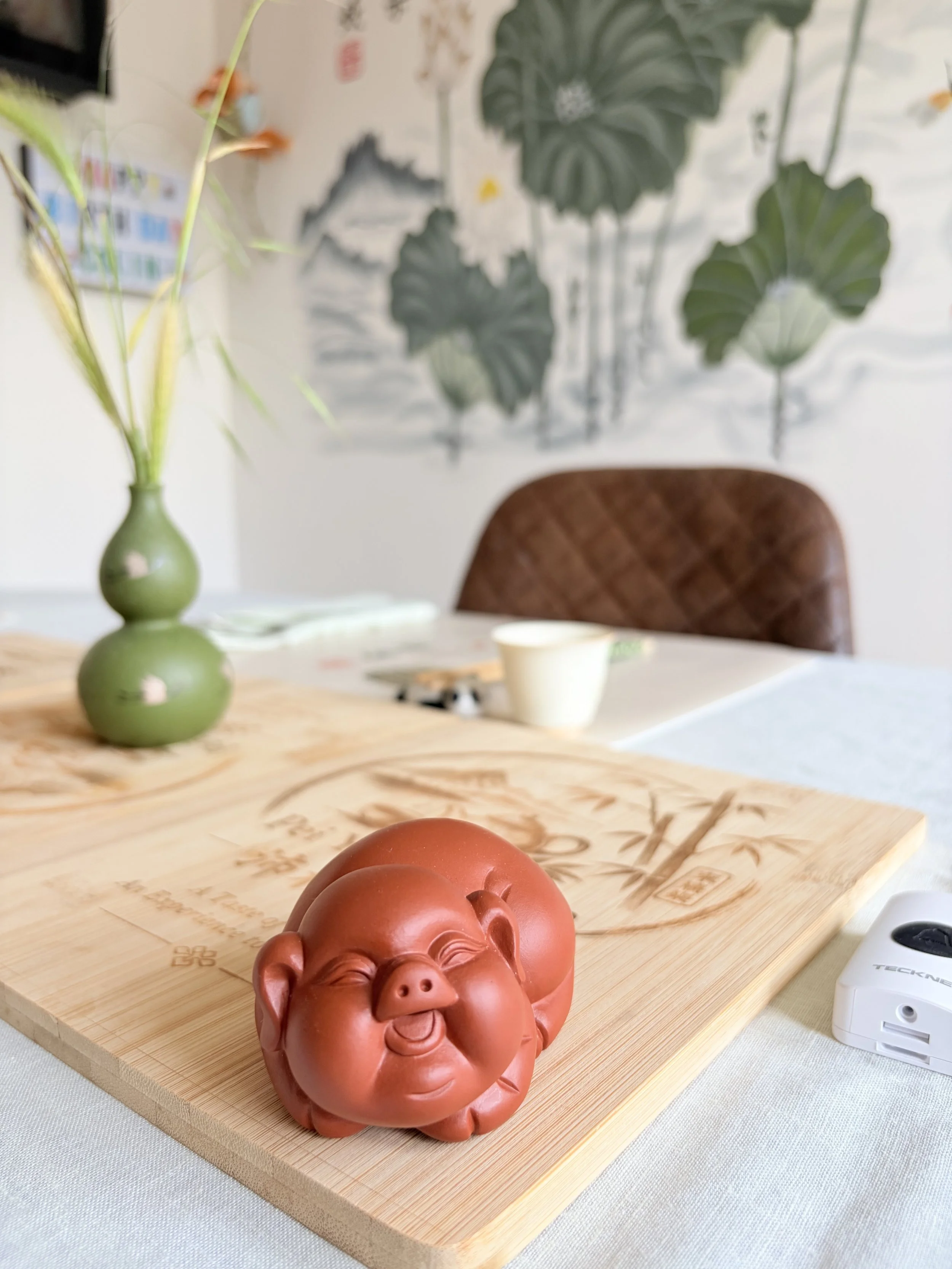 Pig.jpg