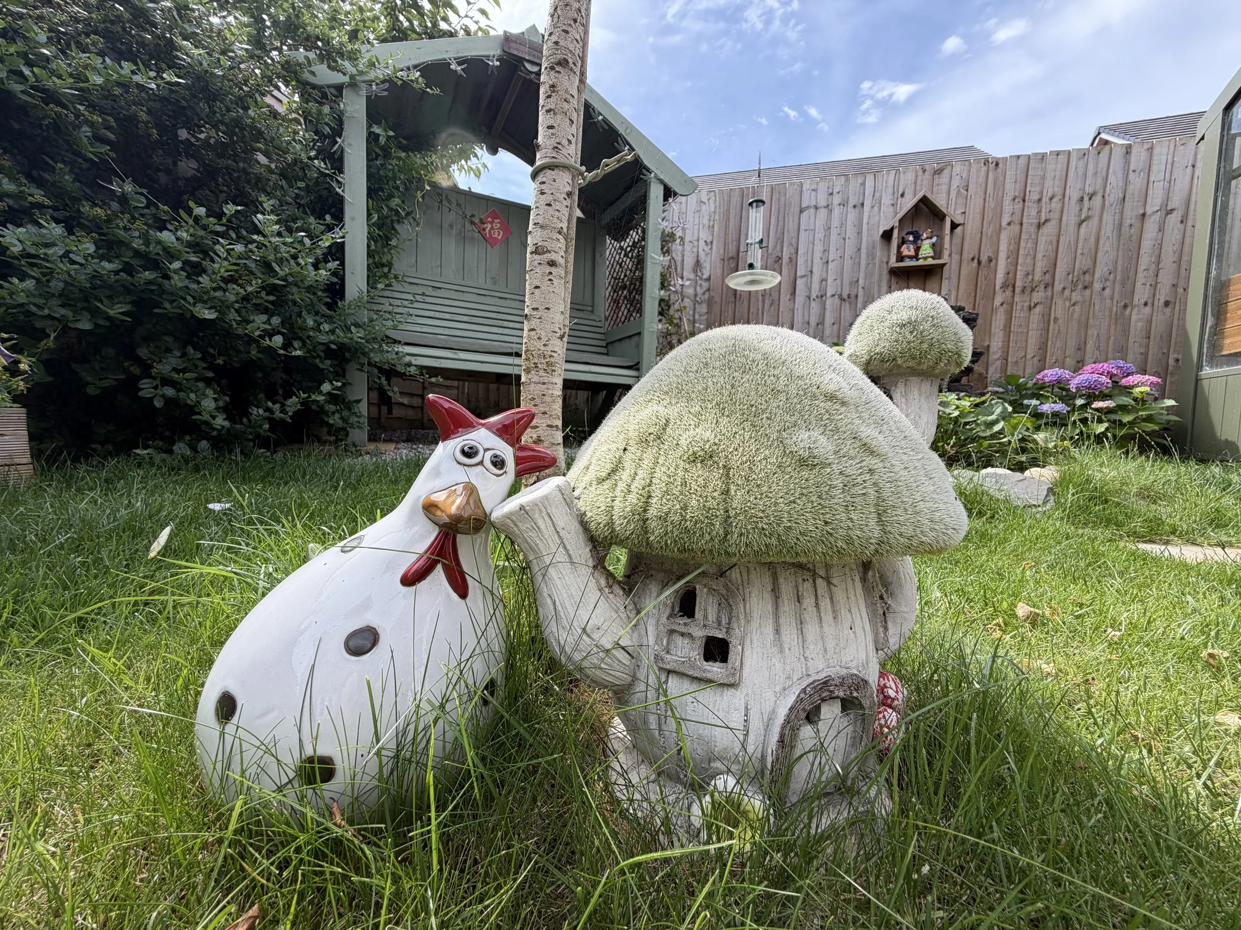 Garden decoration.jpg