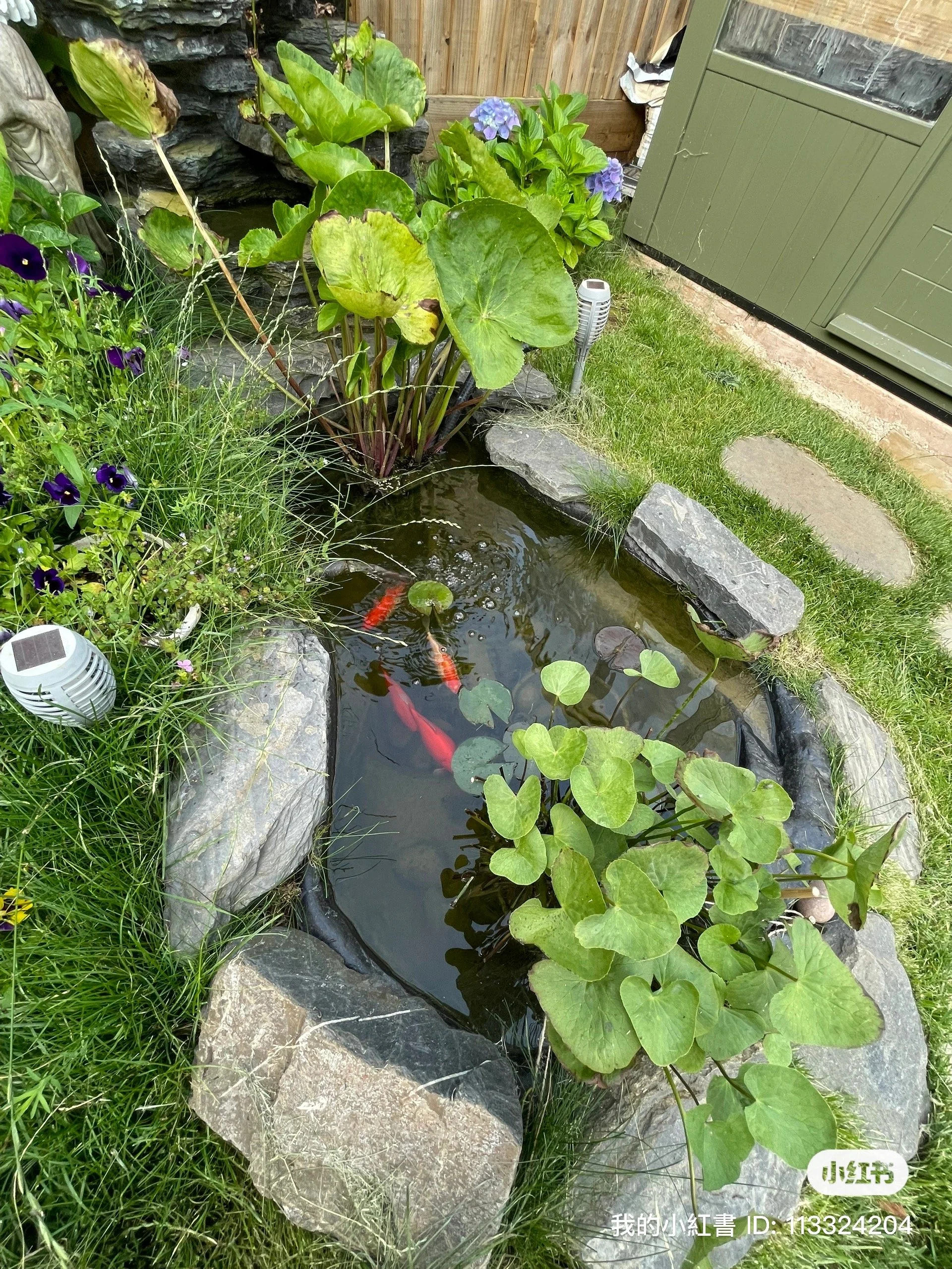 Fish Pond.jpg