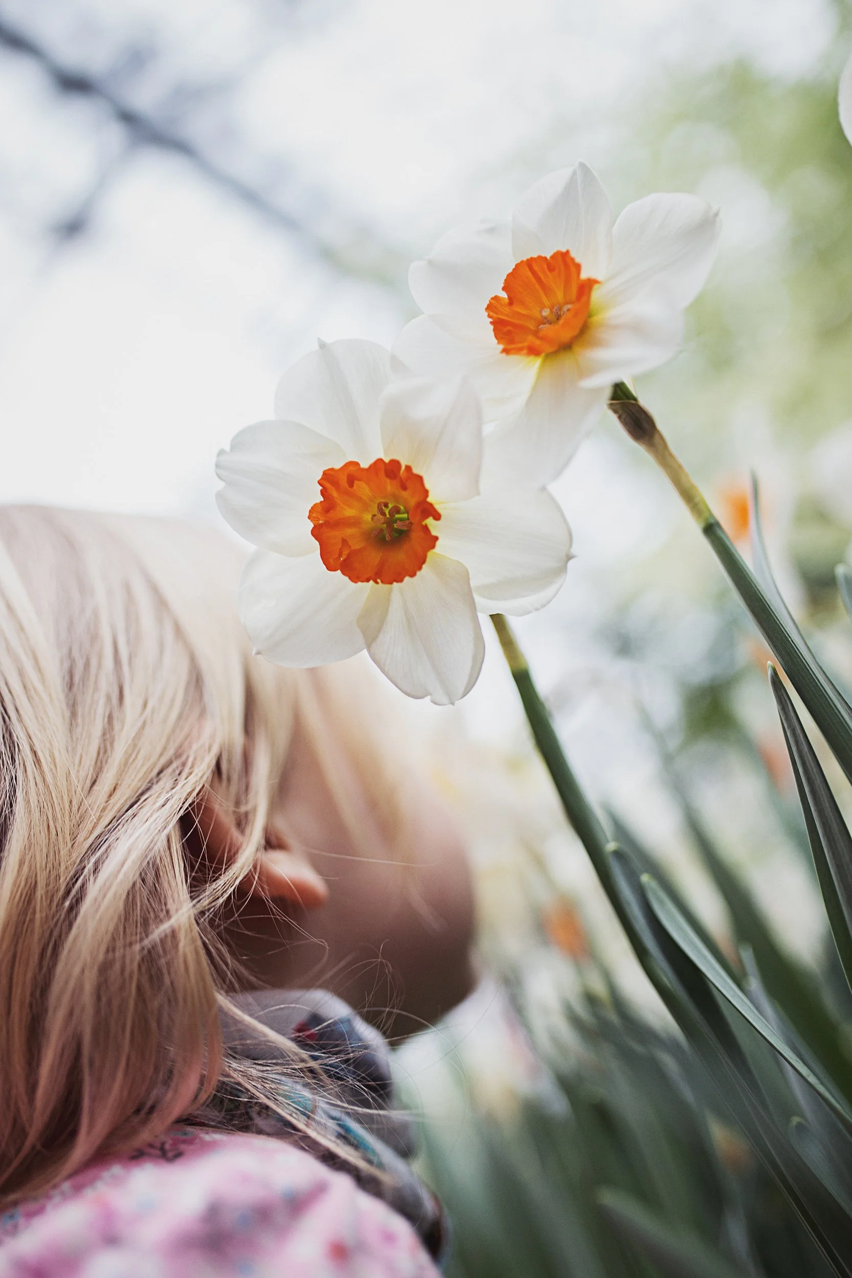 quiet-moments-baby-glenview3.jpg