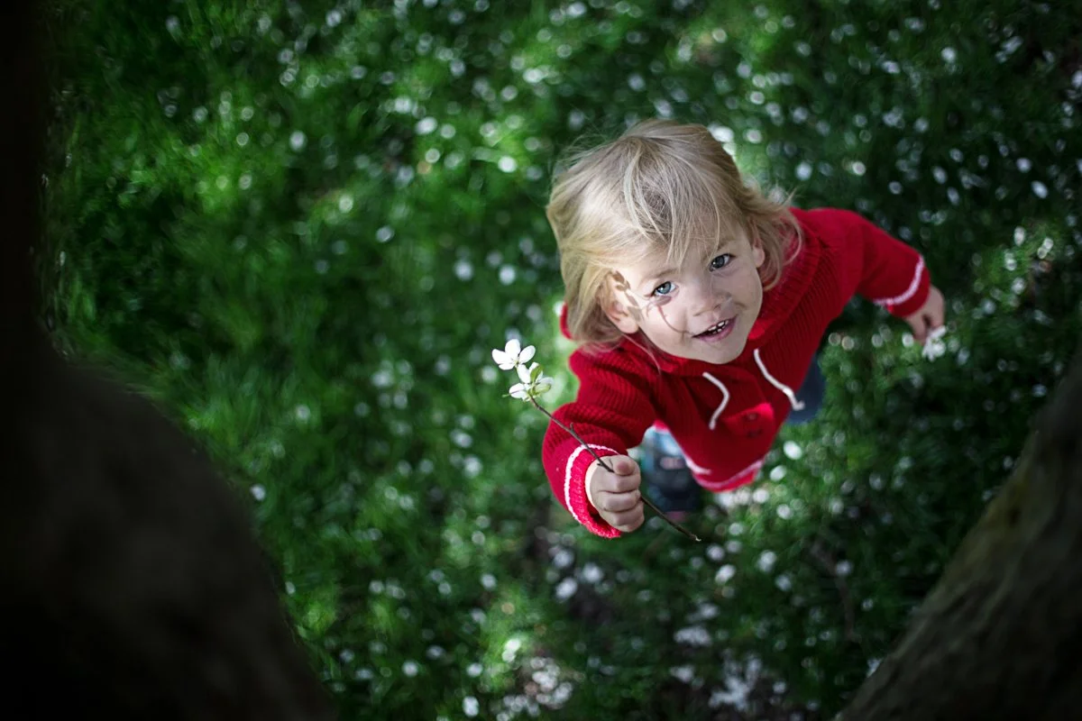 quiet-moments-park-ridge-children.jpg