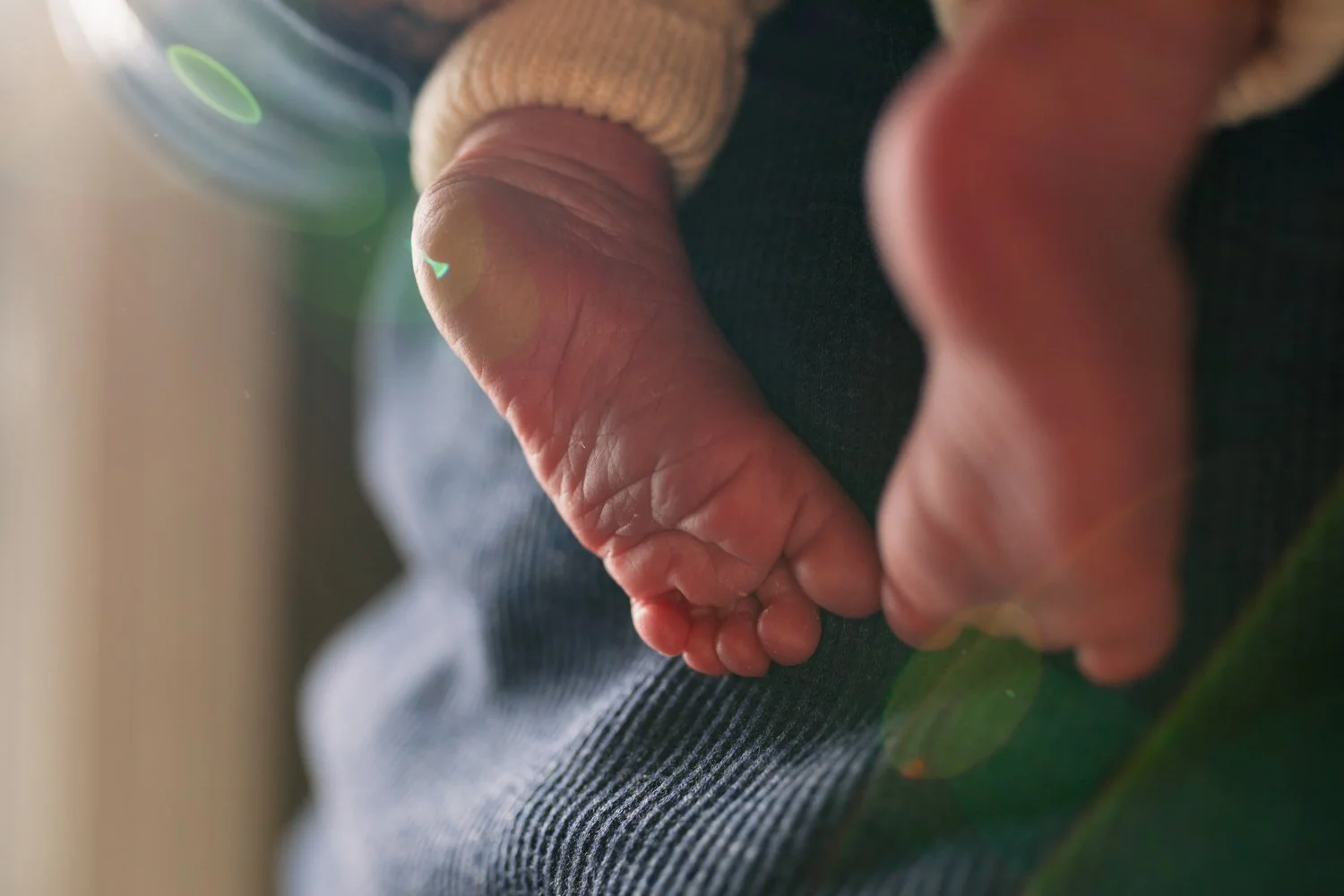newborn-detail-hands-feet-chicago.jpg