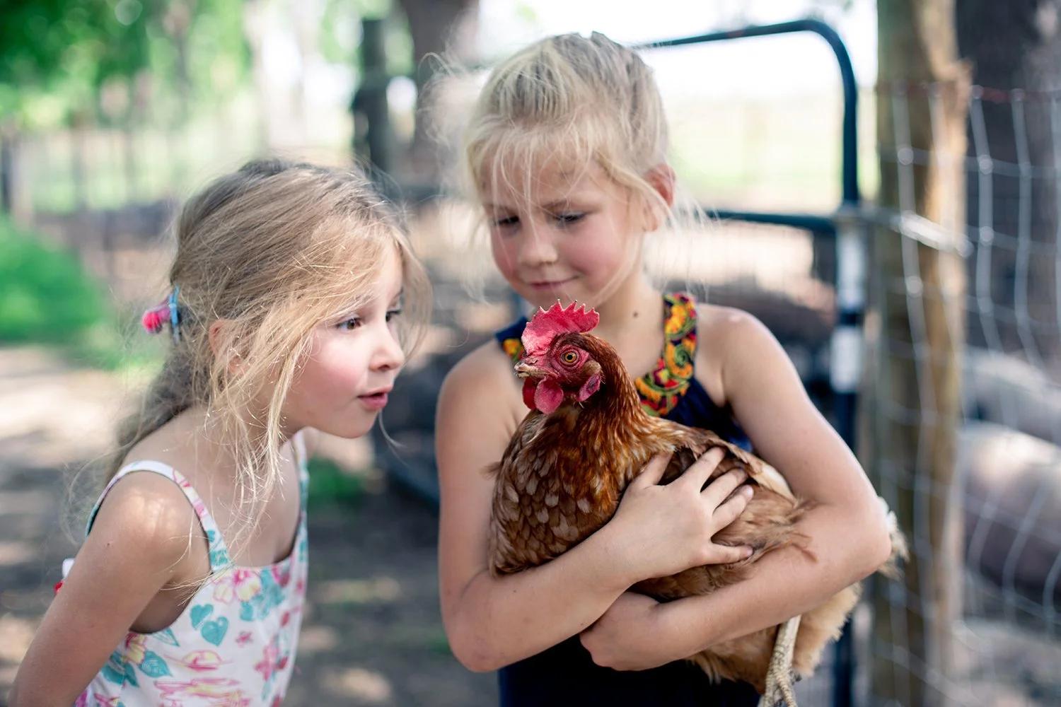 highland-park-lifestyle-family-photography.jpg