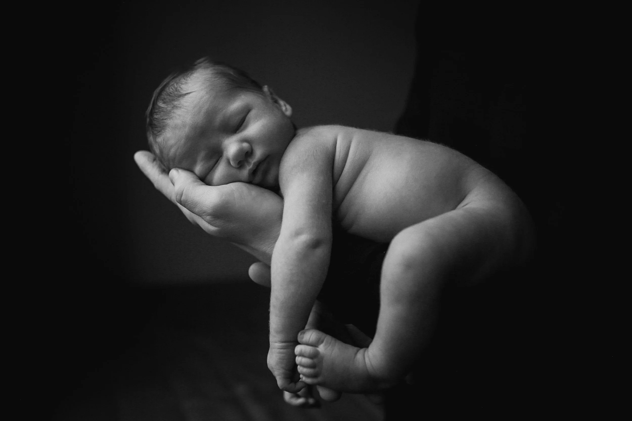 Park Ridge newborn photography.jpg