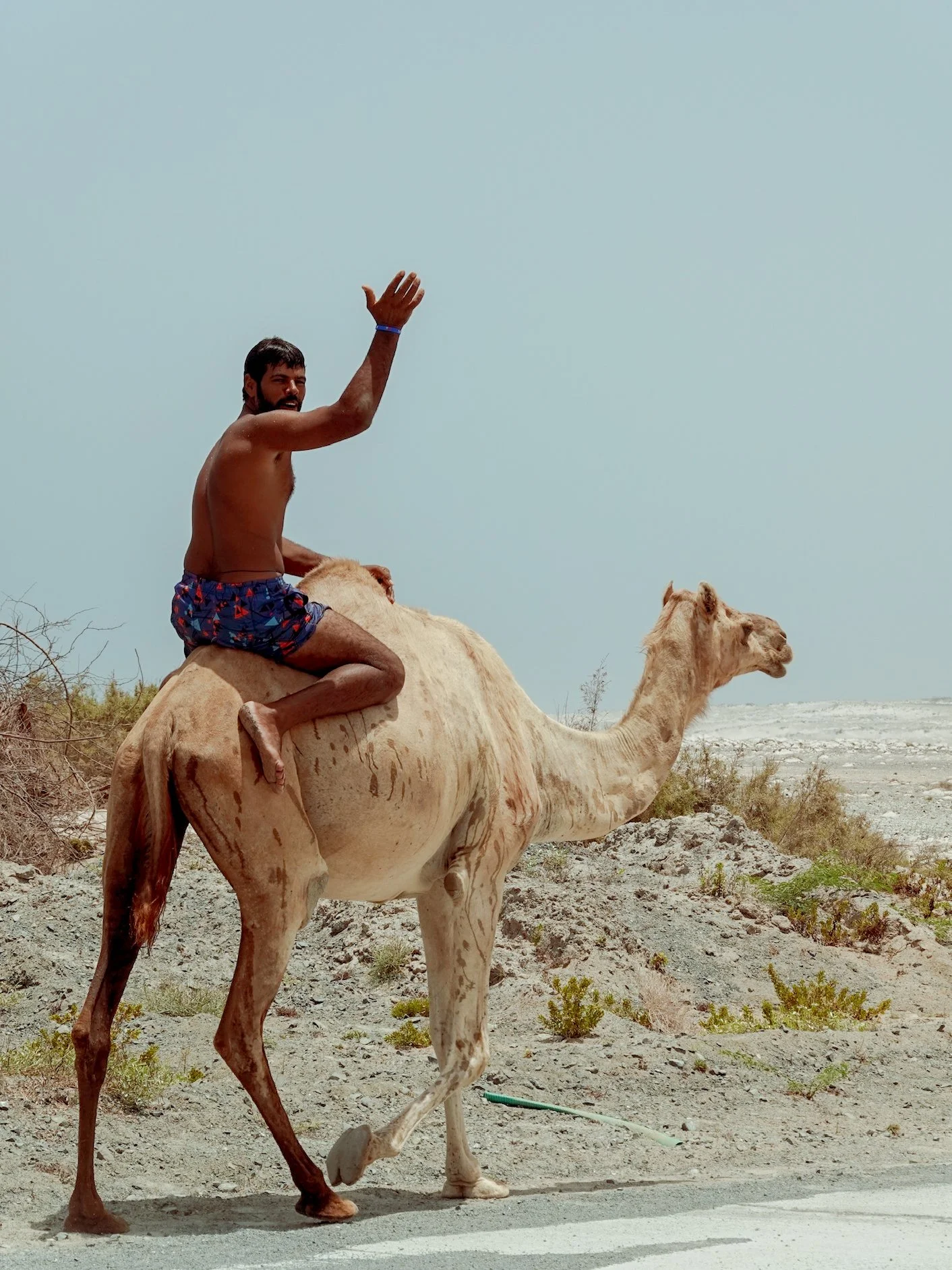 Faell riding a wild camel on Masirah Island, Oman