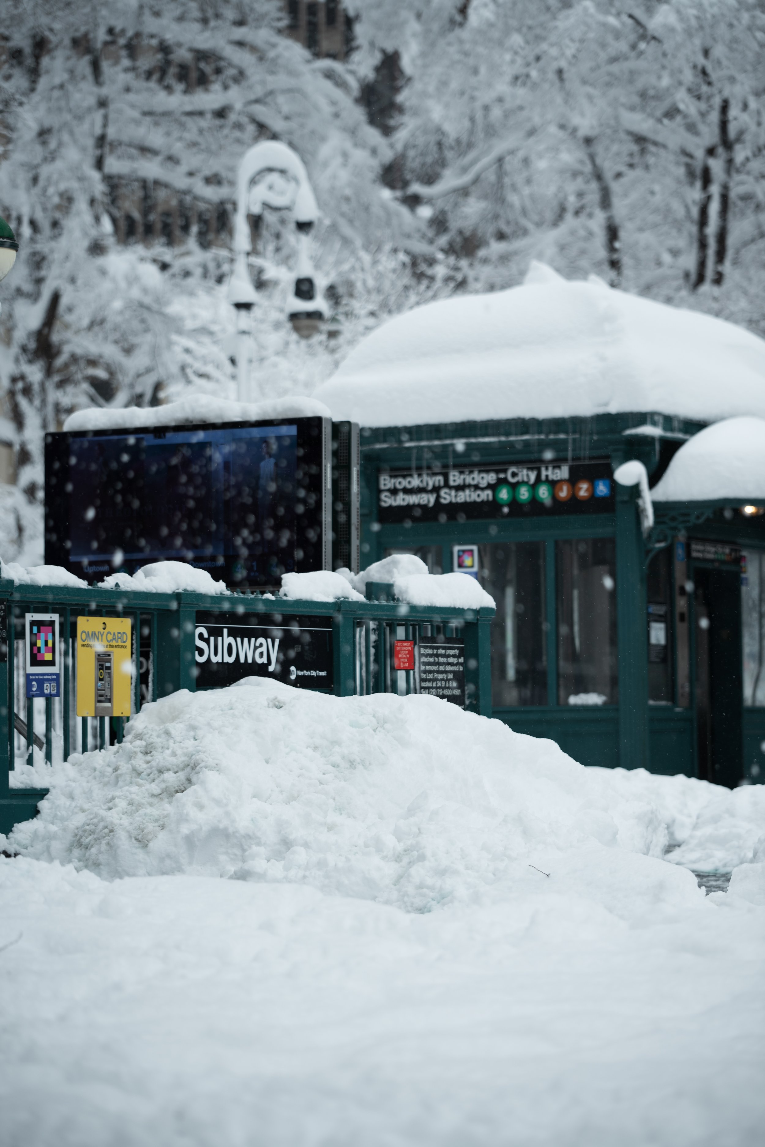 New York City - Winter 2026
