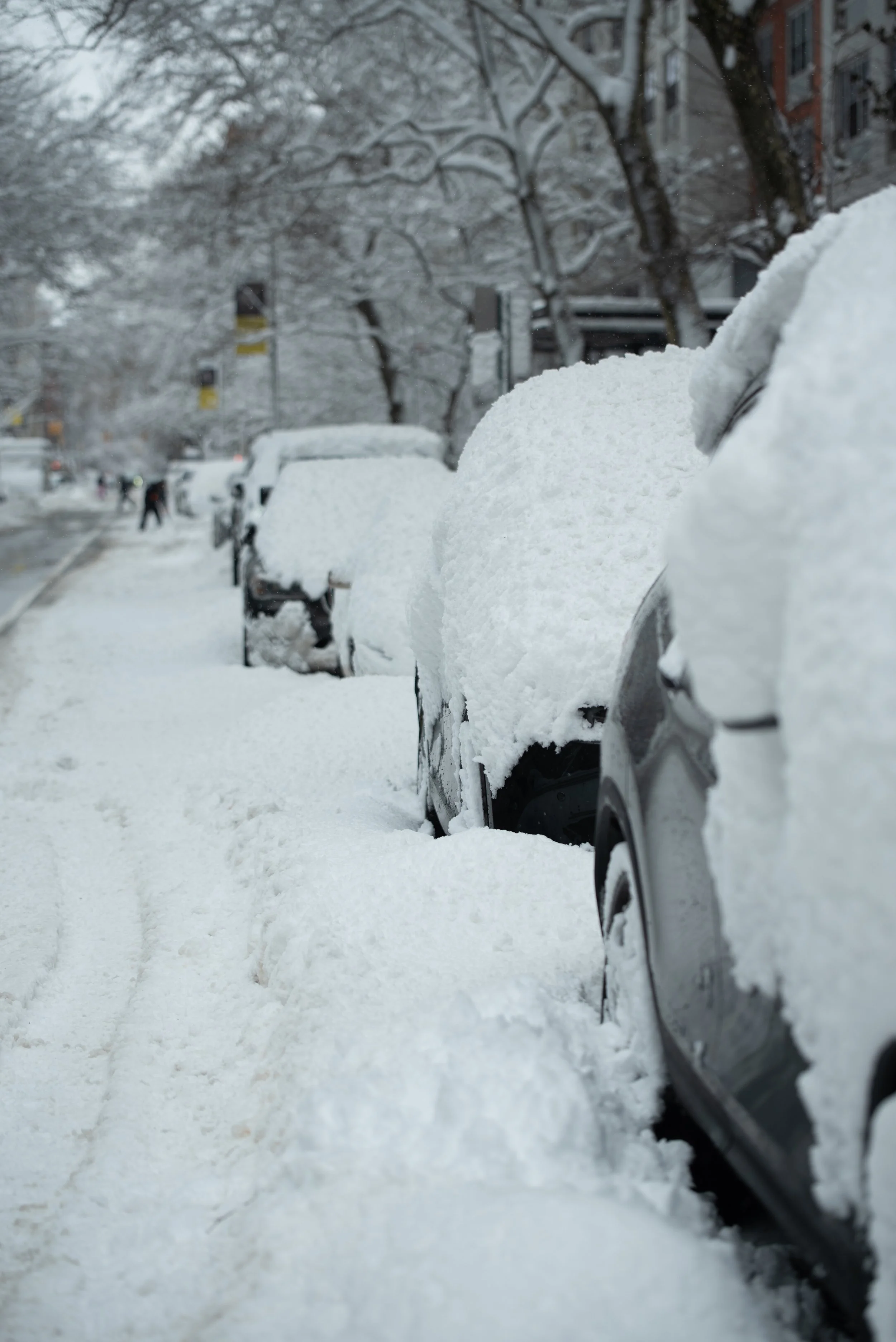 New York City - Winter 2026