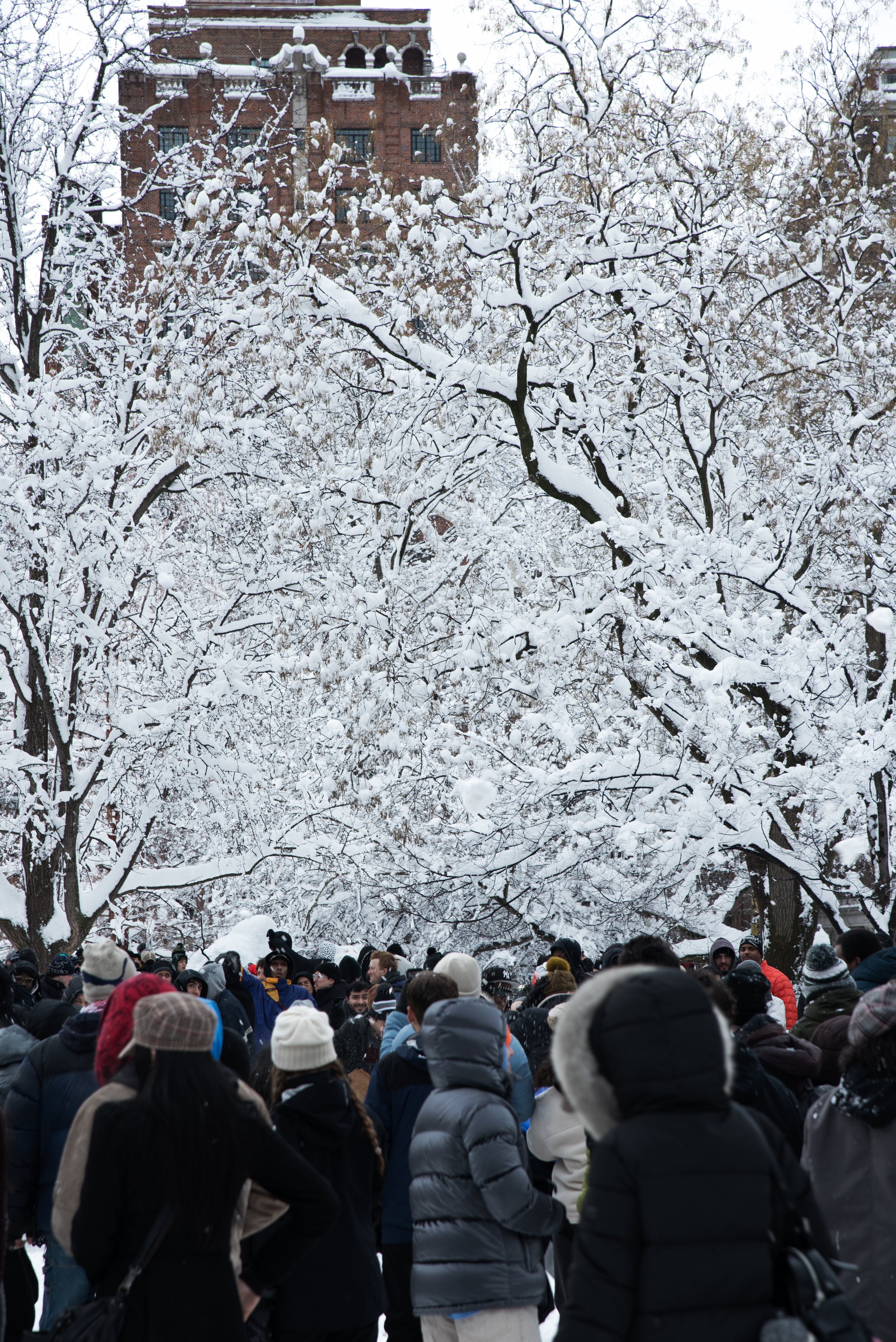 Washington Square Park, NYC - Winter 2026