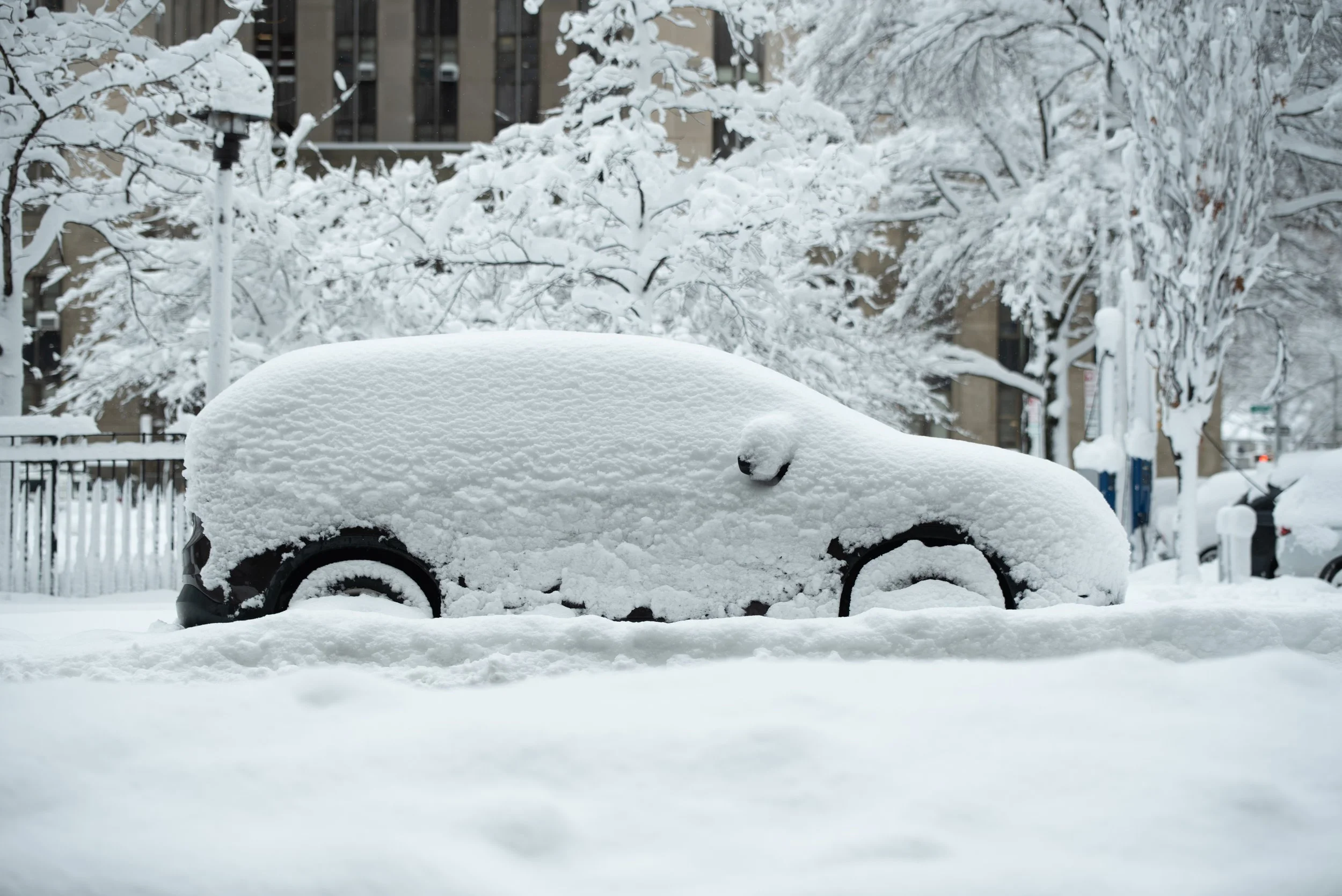 New York City - Winter 2026