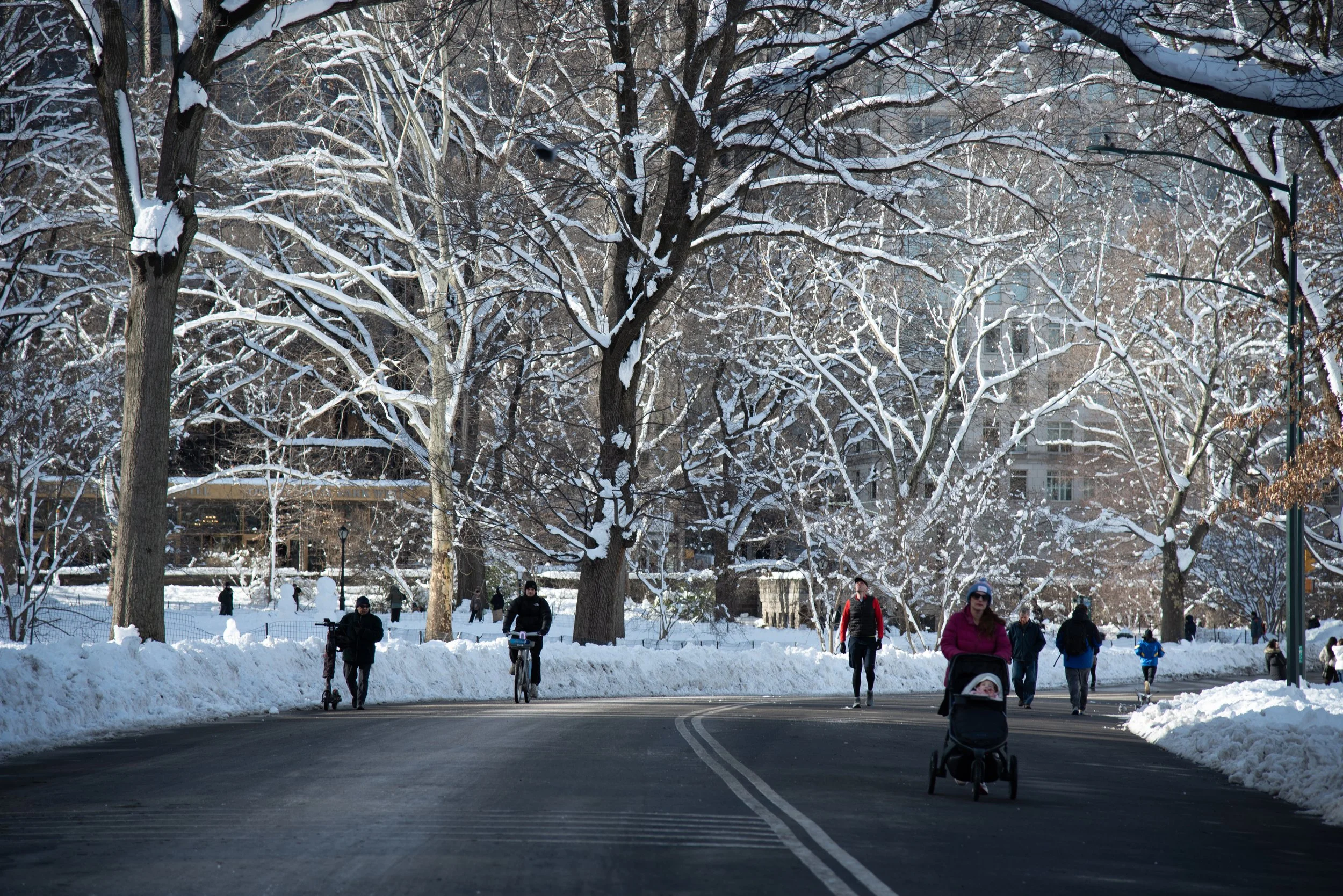 Central Park, NYC - Winter 2026