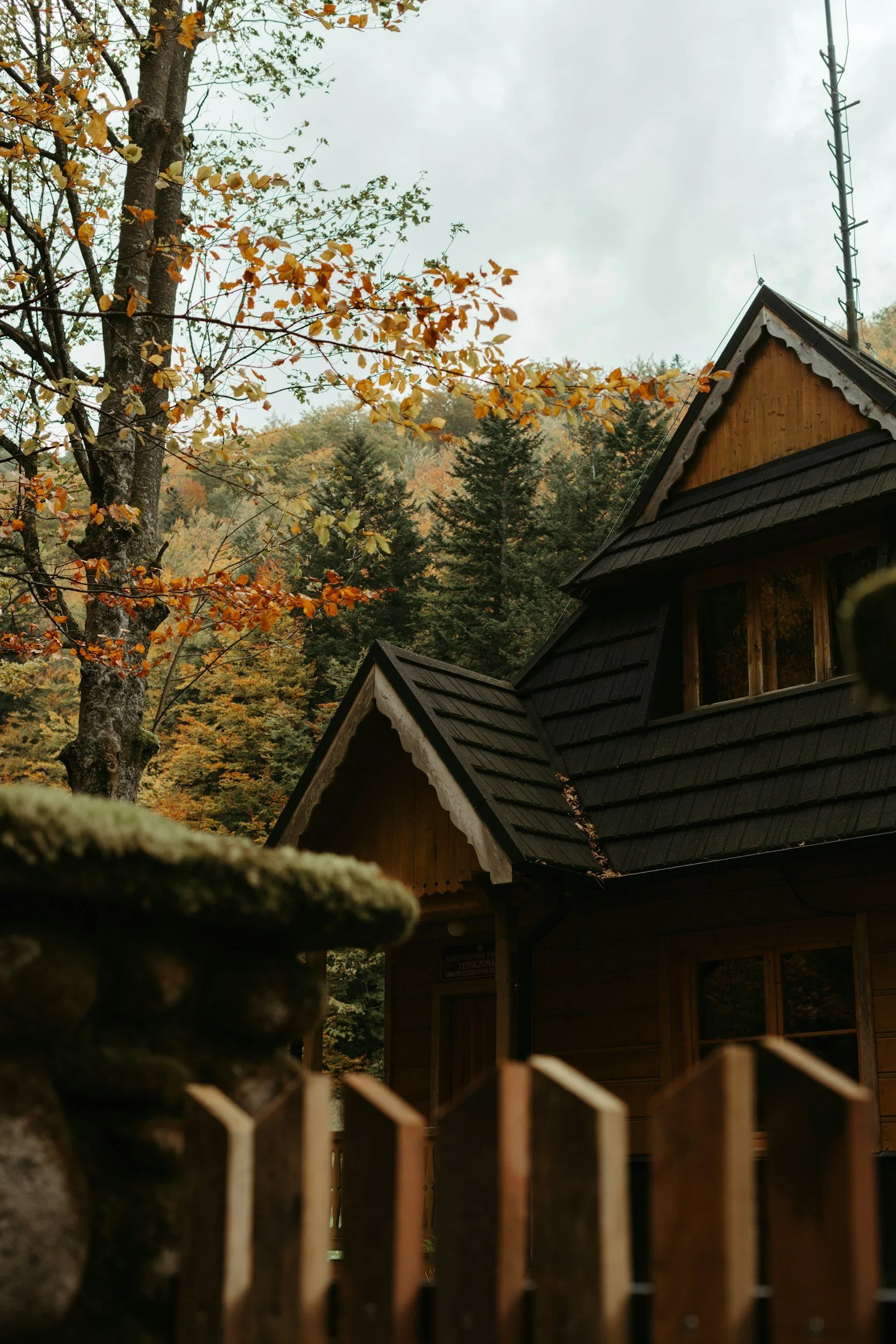 A wooden house with a black roof surrounded by trees with autumn leaves, seen through a wooden fence and moss-covered rocks.