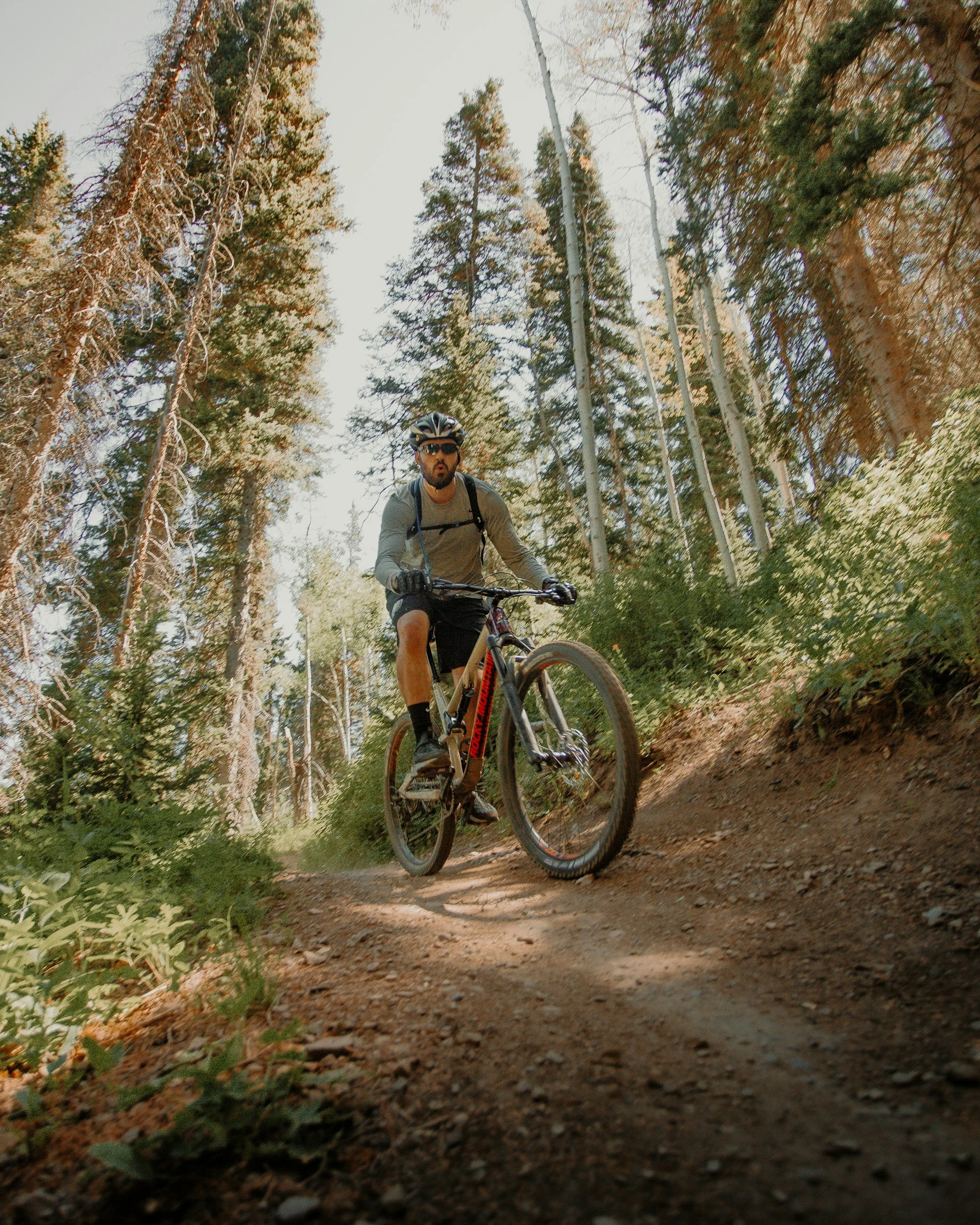 A man mountain biking on a dirt trail in a forested area with tall pine trees and sunlight filtering through the branches.