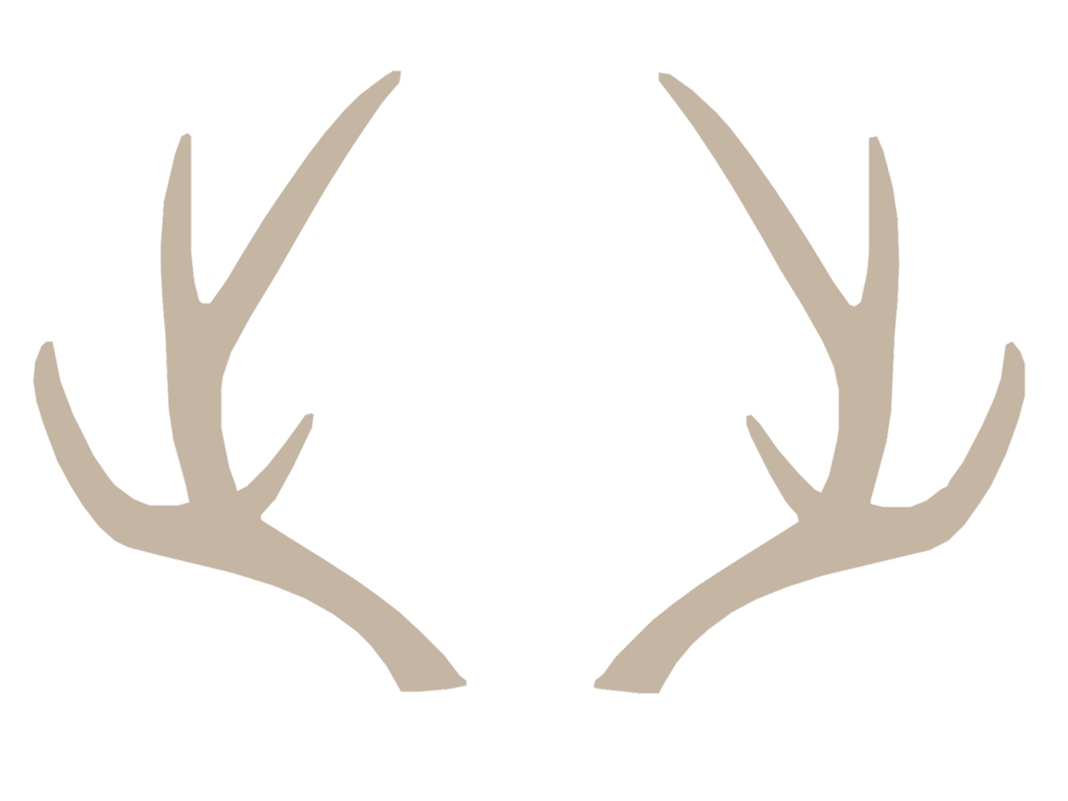 Outline of a pair of beige deer antlers against a black background.