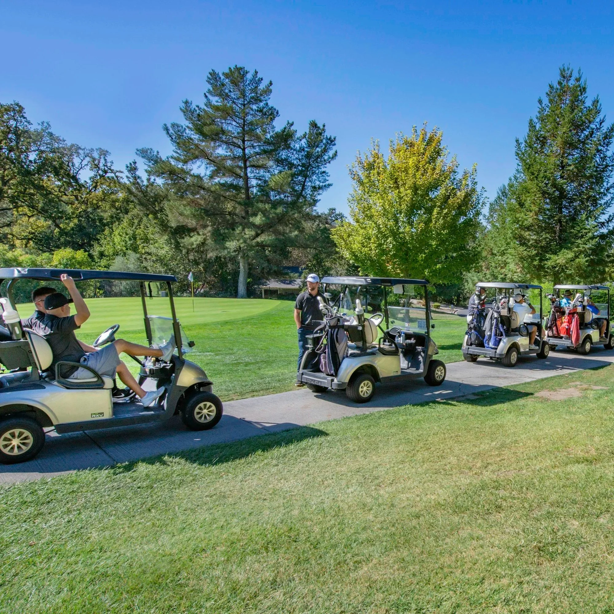 Multiple golf carts parked on a green golf course with trees and clear blue sky in the background.