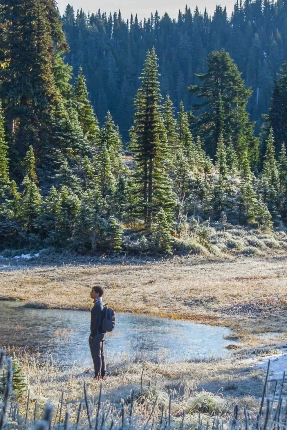 A person with a backpack hiking near a frozen pond in a forested mountain landscape with tall pine trees.
