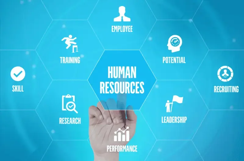 Employing the Right HR Tool