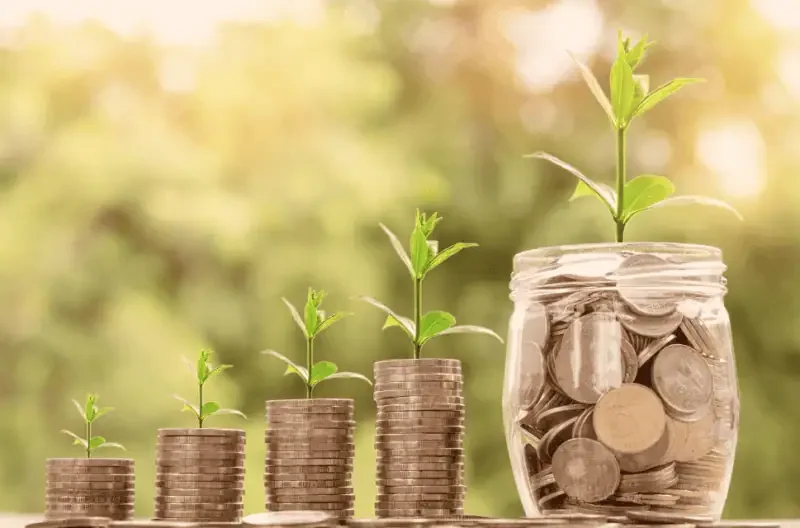 Growing plants on stacks of coins illustrating New Mexico minimum wage increases.