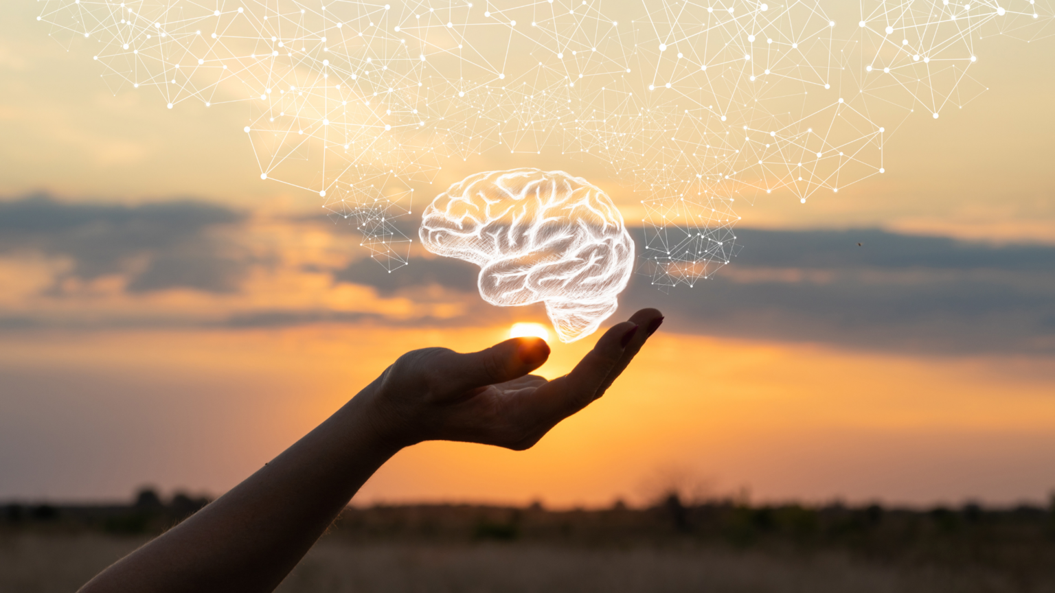 Person holding an illustration of a brain