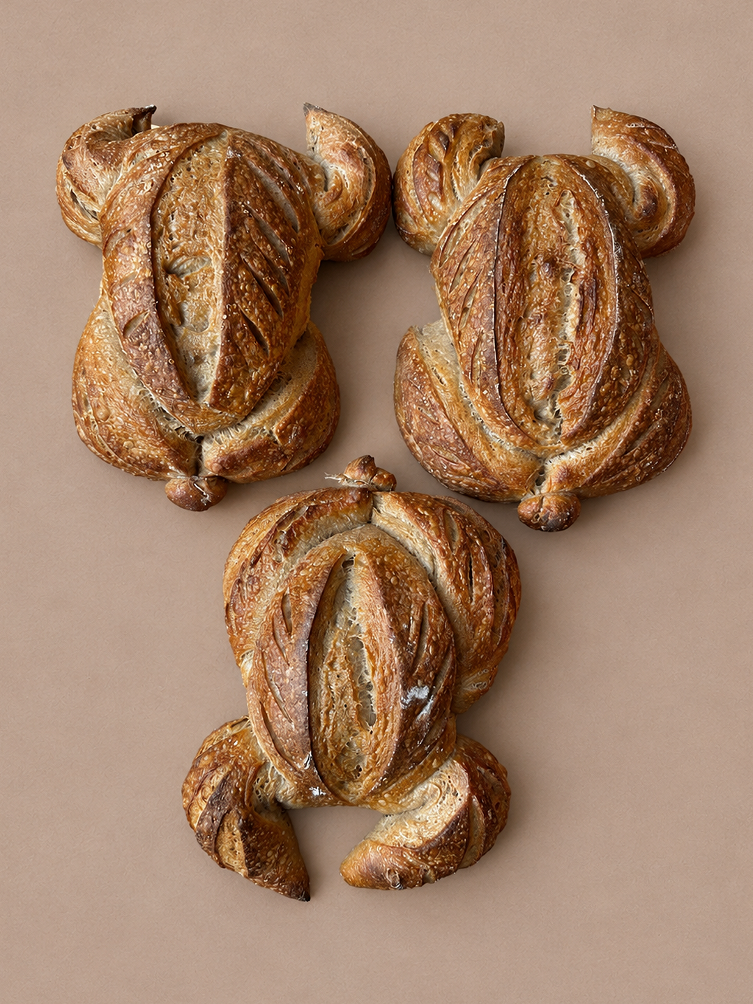 Sourdough Turkey
