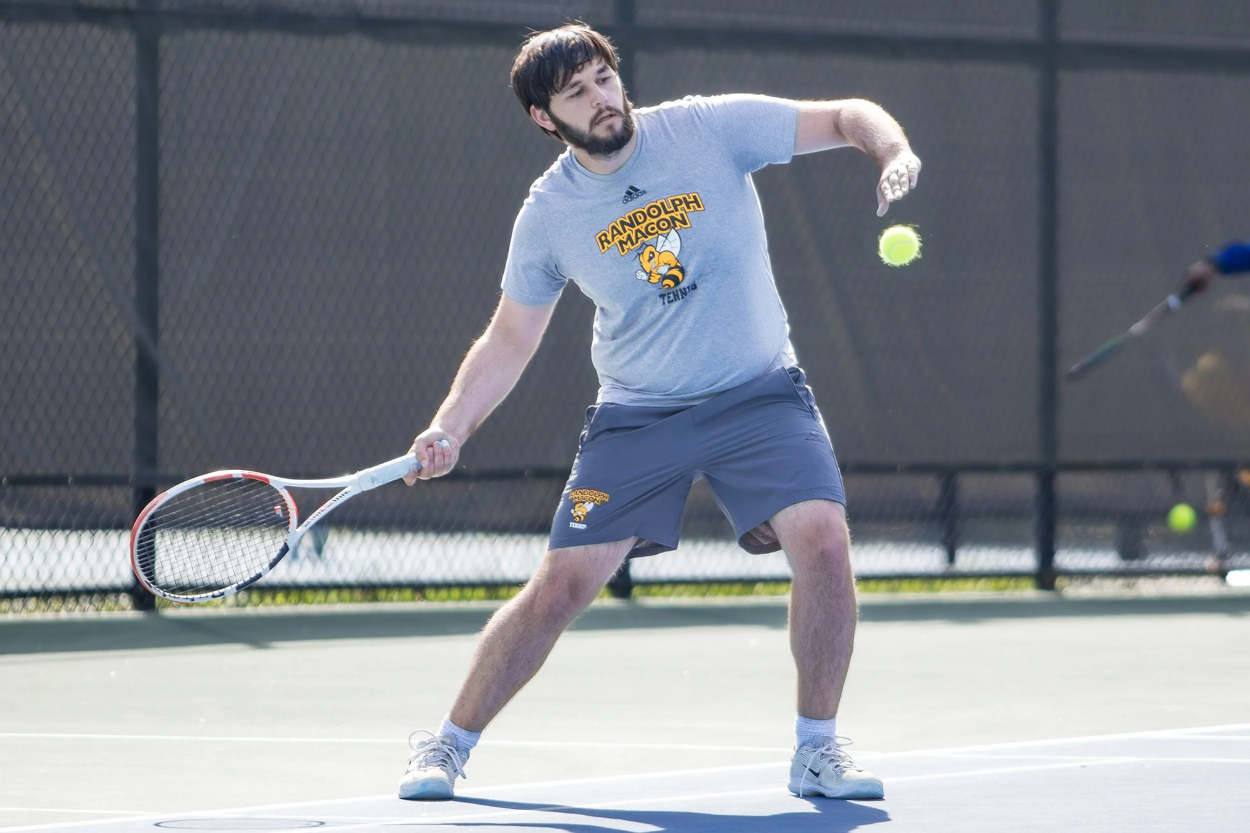 A man playing tennis on an outdoor court, wearing a gray T-shirt with a raccoon mascot and the words "Randolph Macon Tennis," dark shorts, and white sneakers, preparing to hit a tennis ball with his racket.