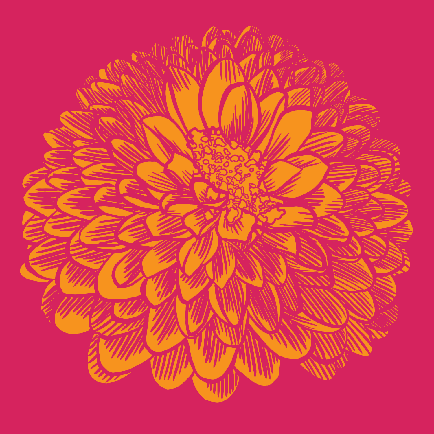 Dahlia_B_Artwork5x5_01.png