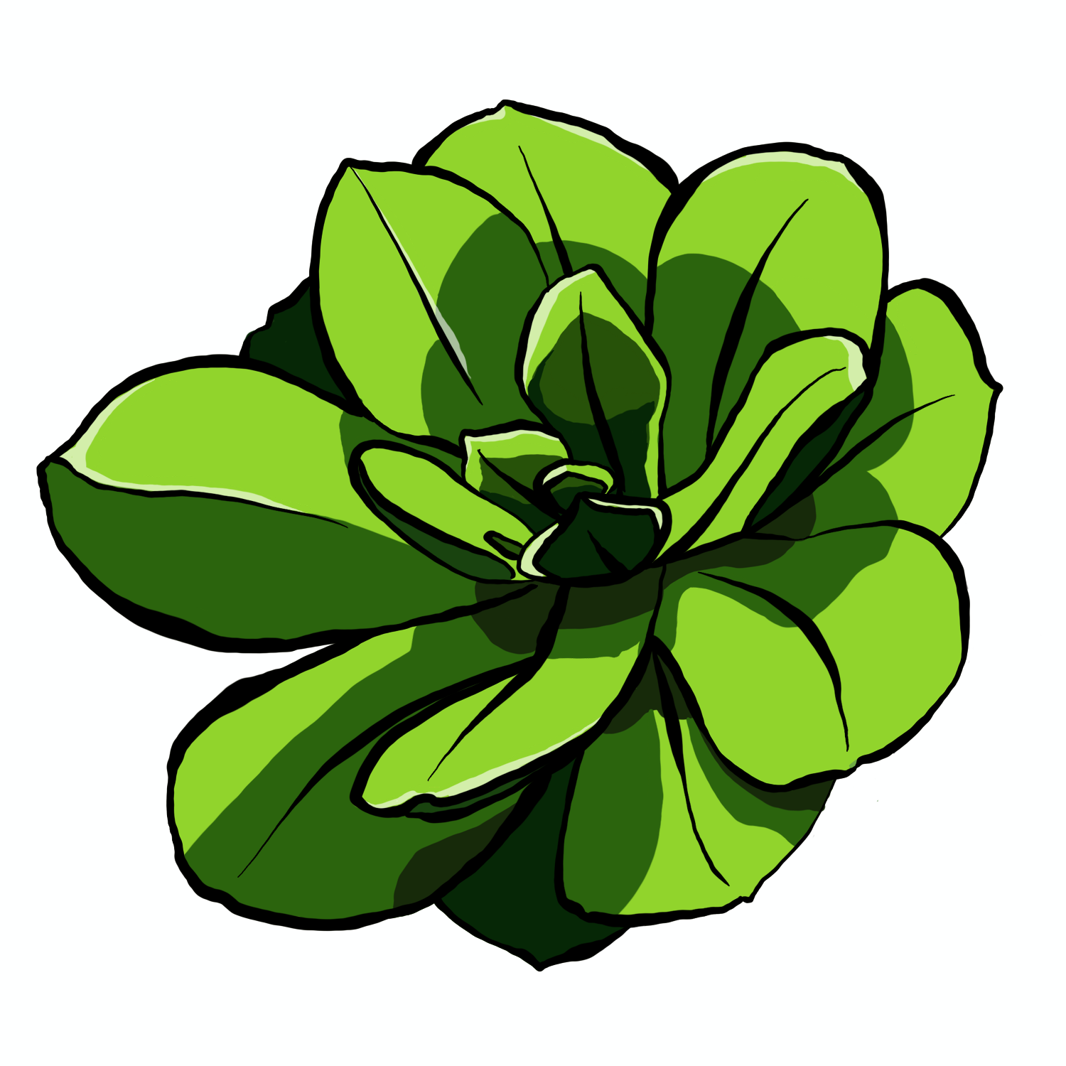 Succulents01.png