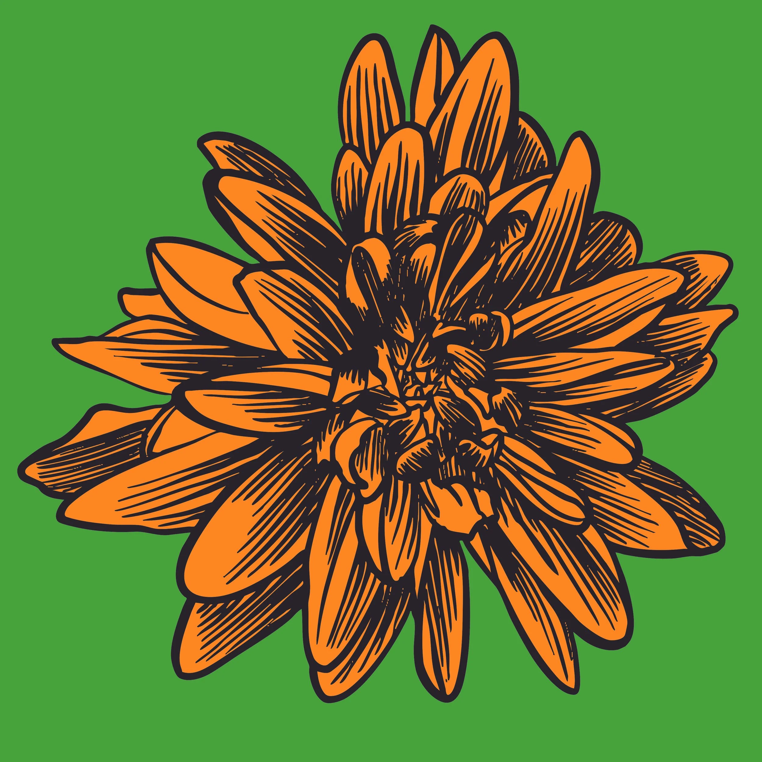 FlowerBloom_03SQ.jpg