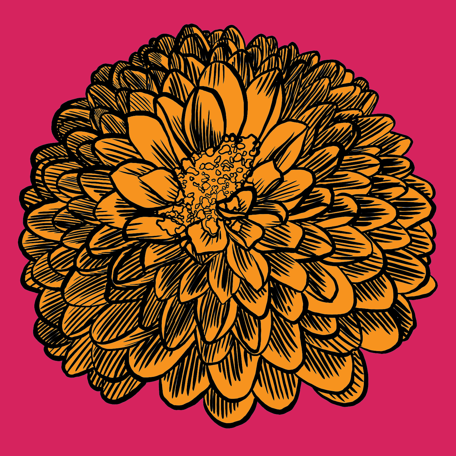 Dahlia_Artwork5x5_01.png