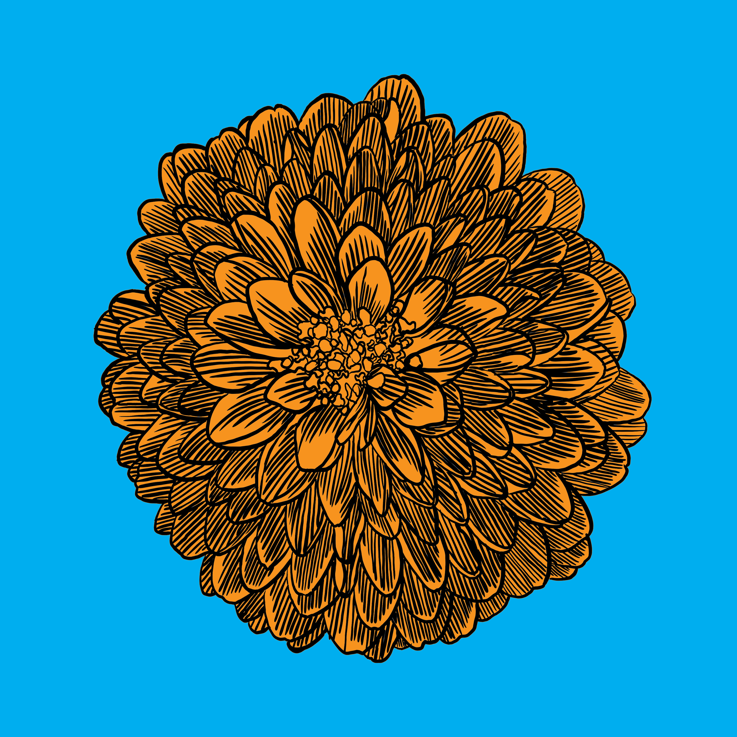 FlowerBloom01_SQColor.png