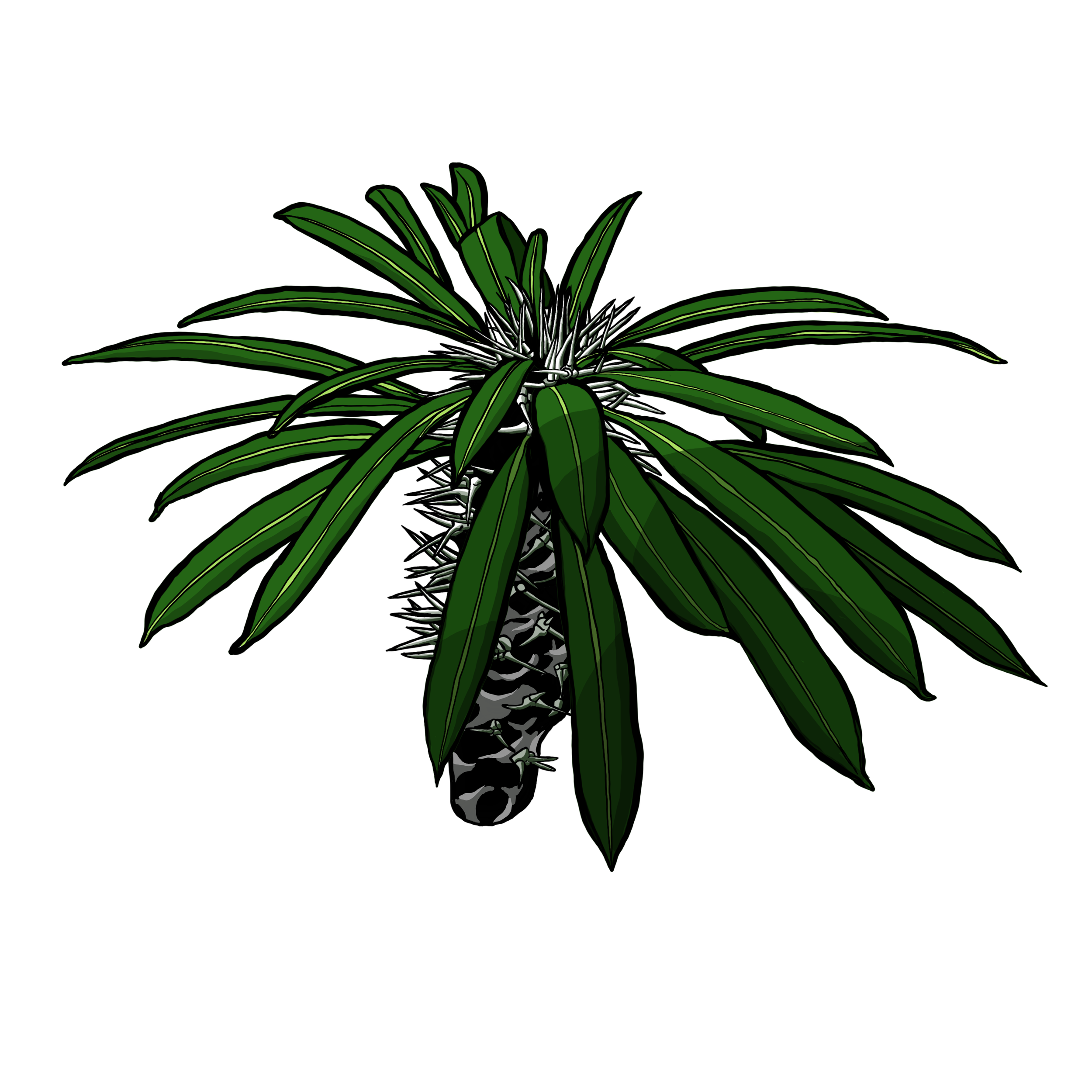 Succulents06.png