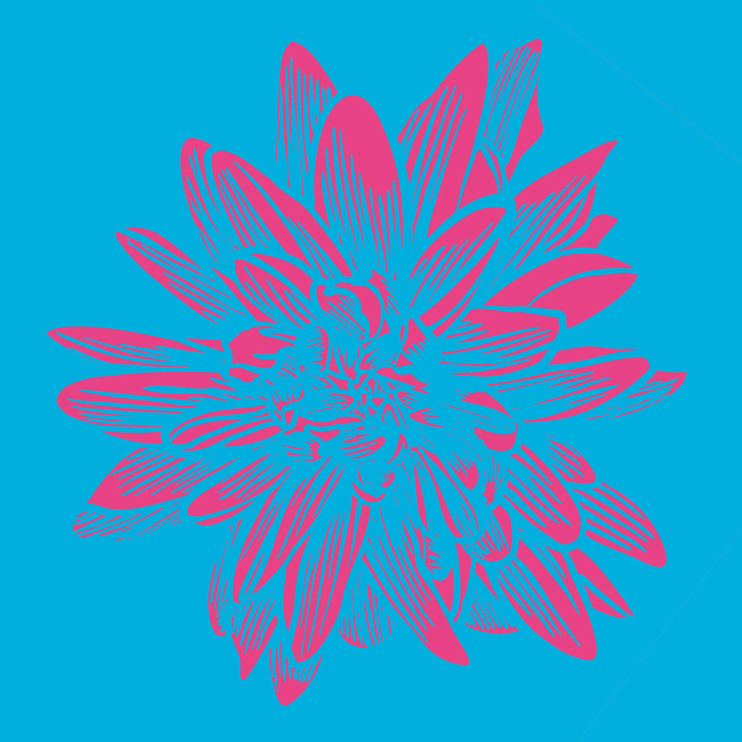 FlowerBloom_03D_SQ.jpg