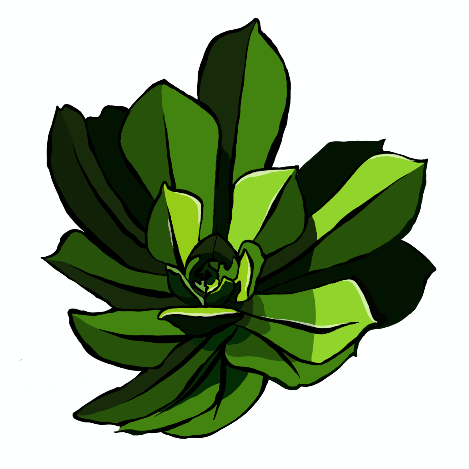 Succulents02.png