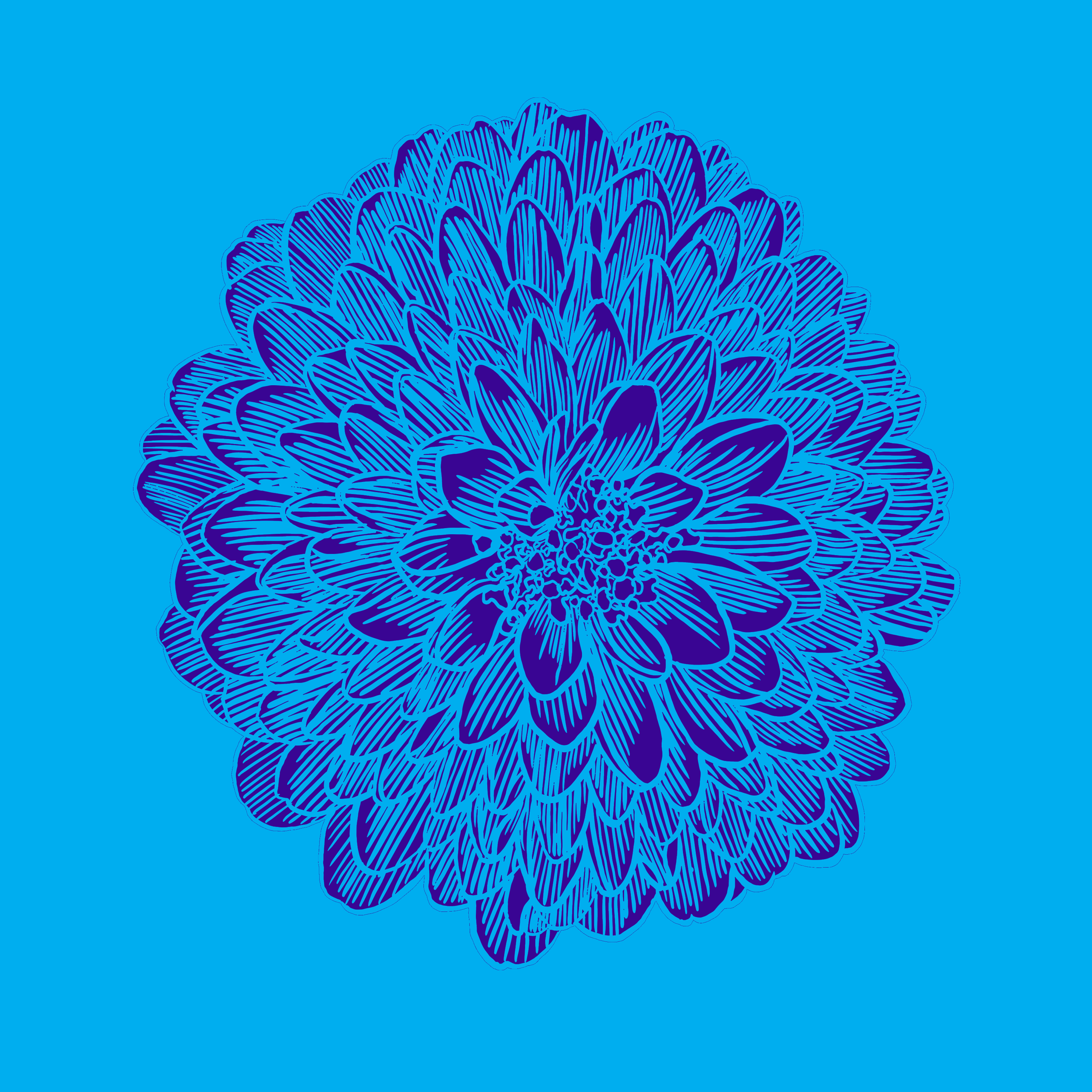 FlowerBloom01C_SQColor.png