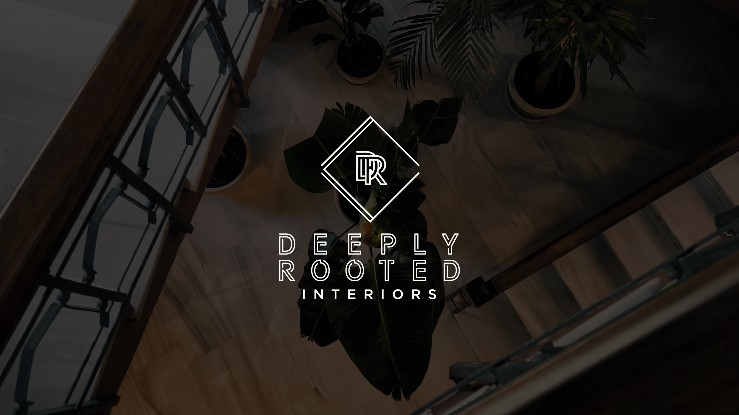 deeply_rooted-Top image.png