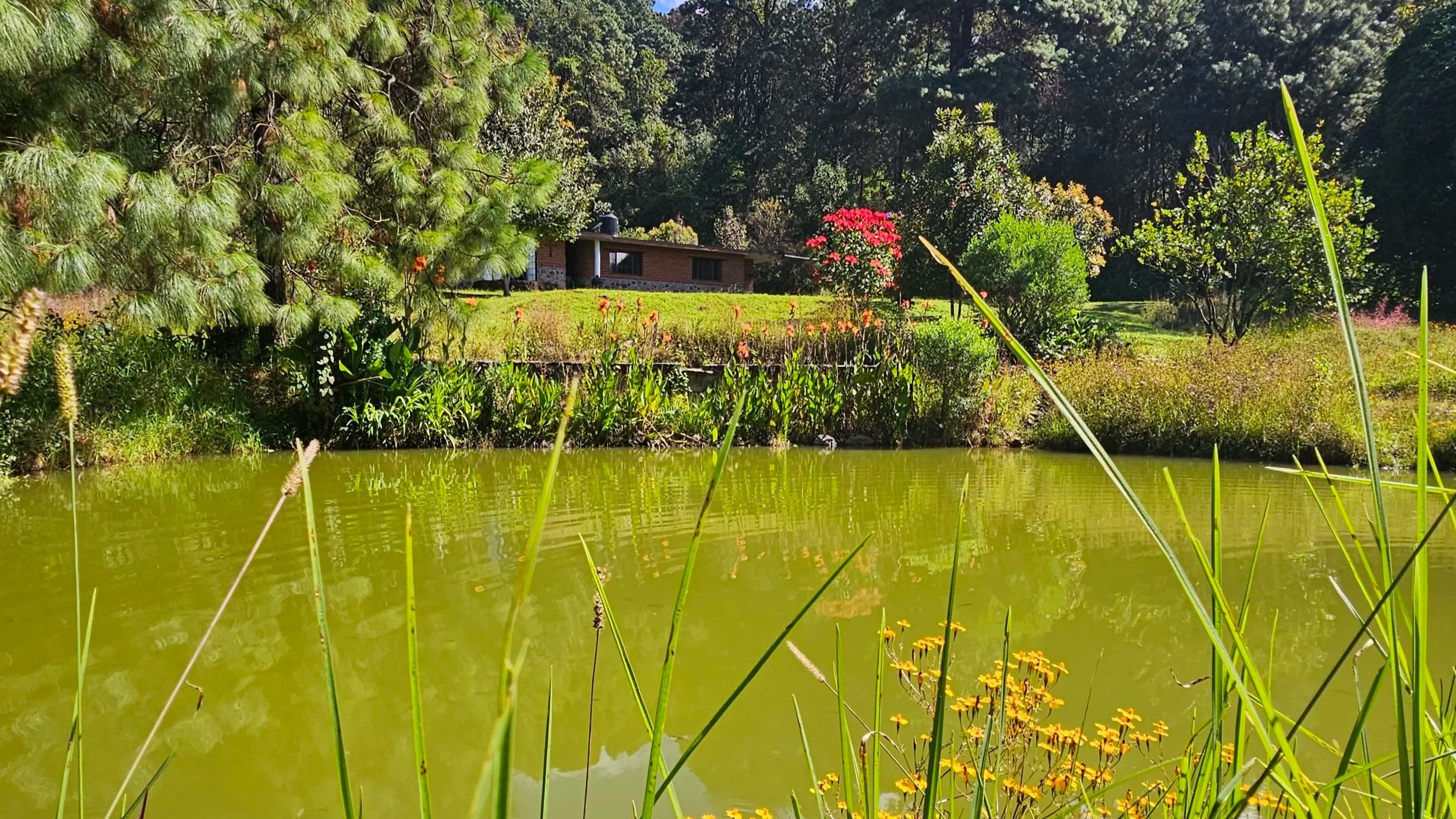 Peaceful pond surrounded by gardens, trees, and native vegetation at El Rizal, highlighting the natural environment protected through responsible stewardship.