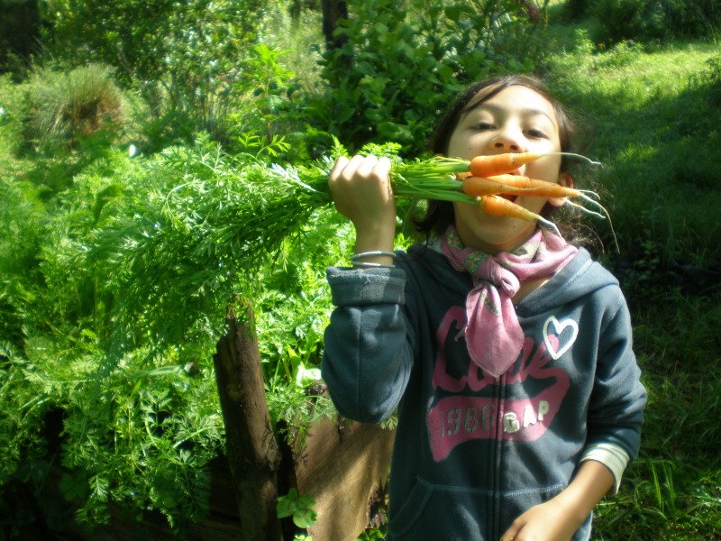Aurora mostrando zanahorias recién cosechadas en un entorno natural en el rizal
